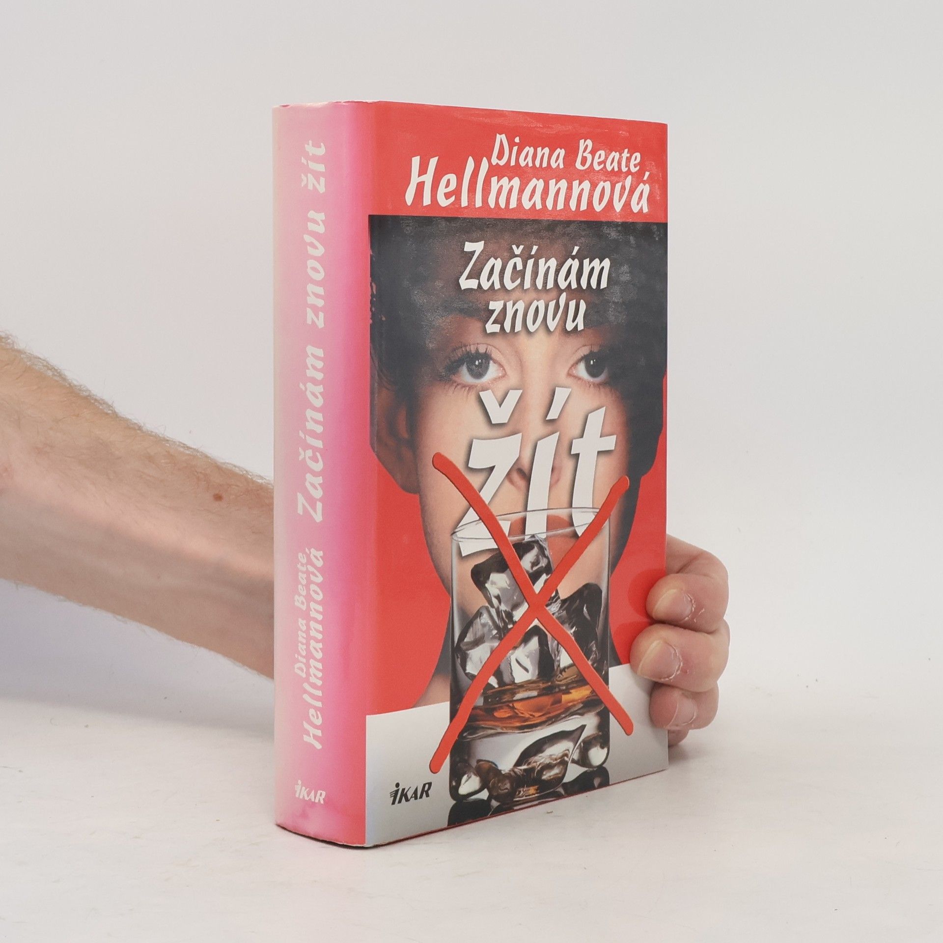 Diana Beate Hellmann Začínám znovu žít