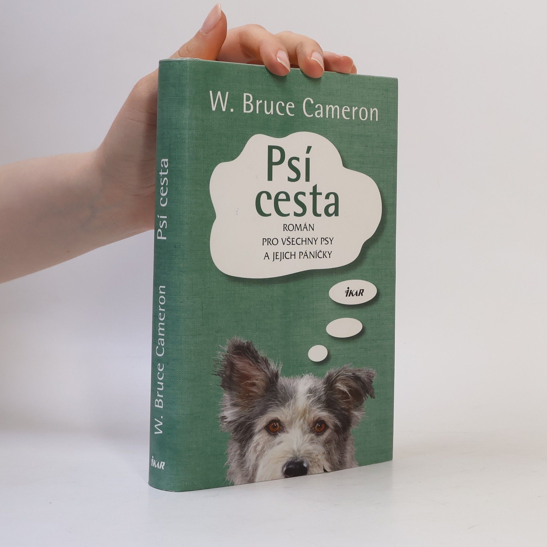 W. Bruce Cameron Psí cesta