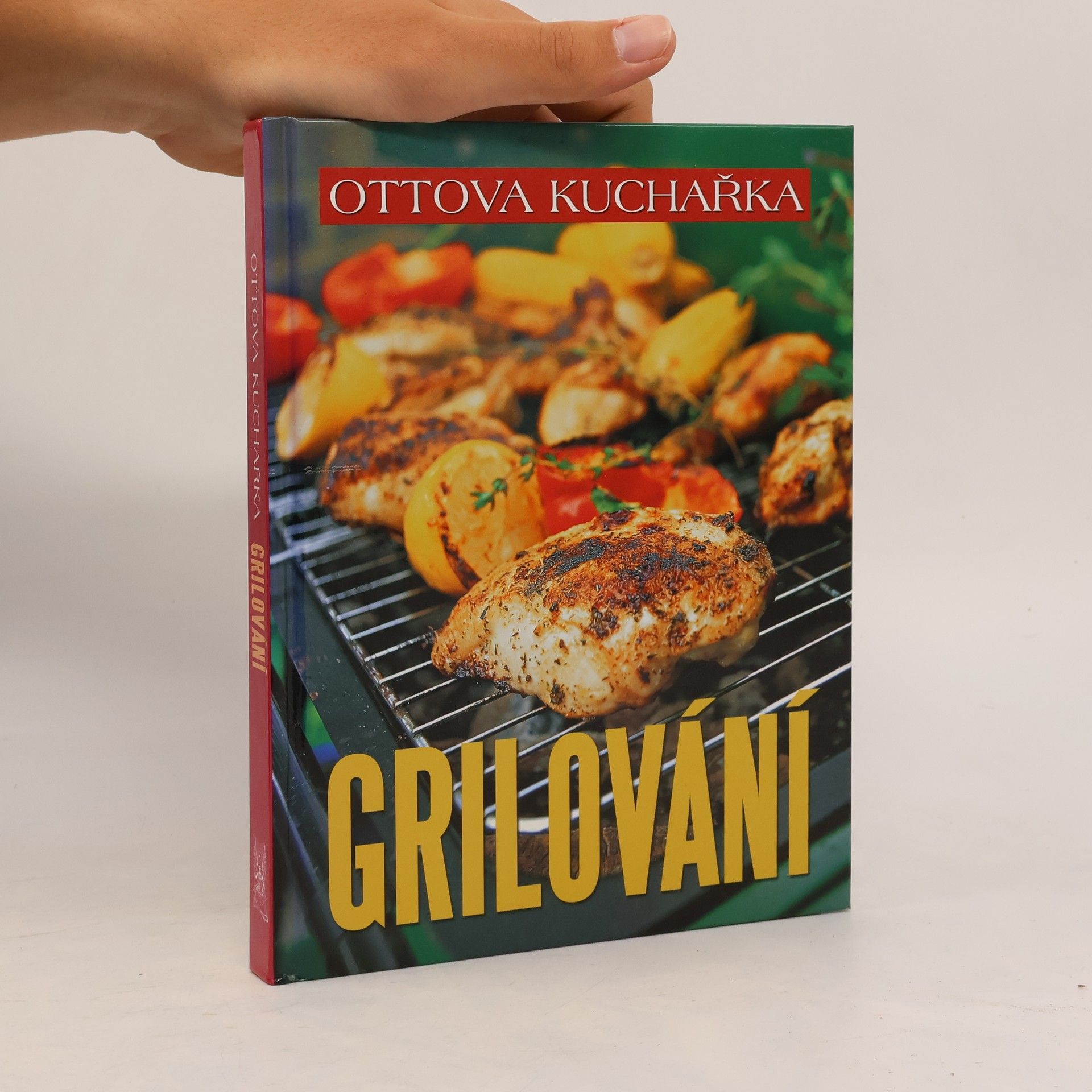 Autorenkollektiv Ottova kuchařka. Grilování