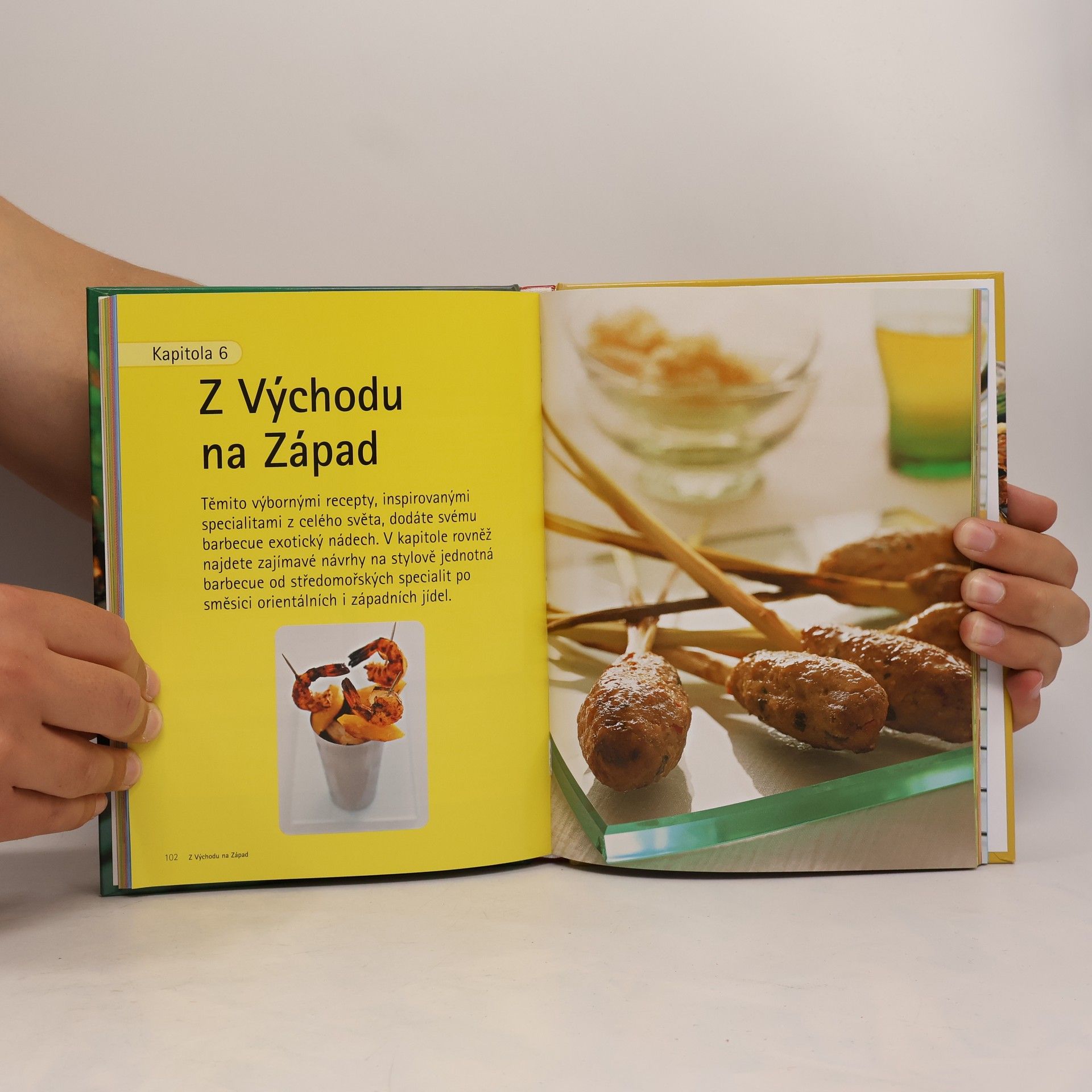Autorenkollektiv Ottova kuchařka. Grilování