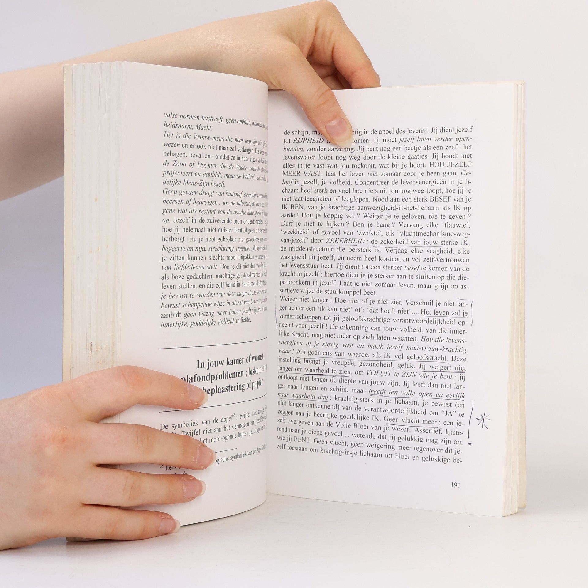 Christiane Beerlandt Het Signalenboek 3