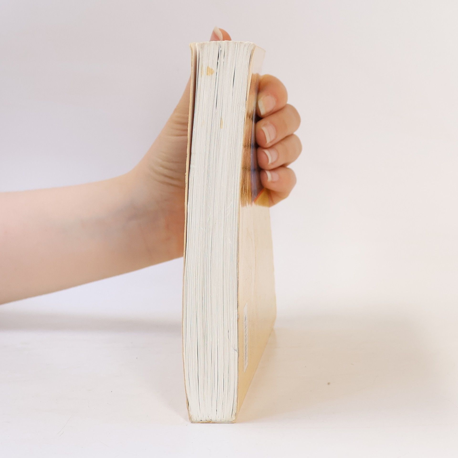 Christiane Beerlandt Signalenboeken - 2: Het Signalenboek