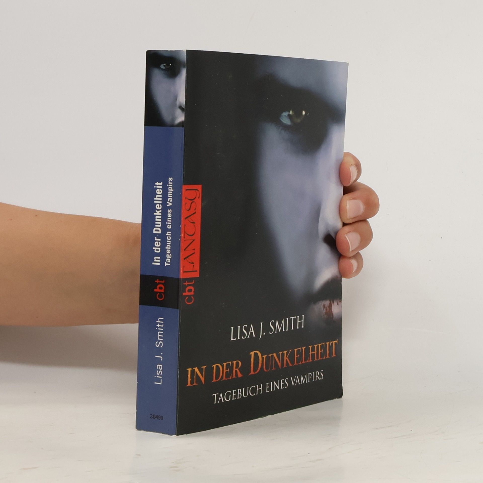 L. J. Smith In der Dunkelheit