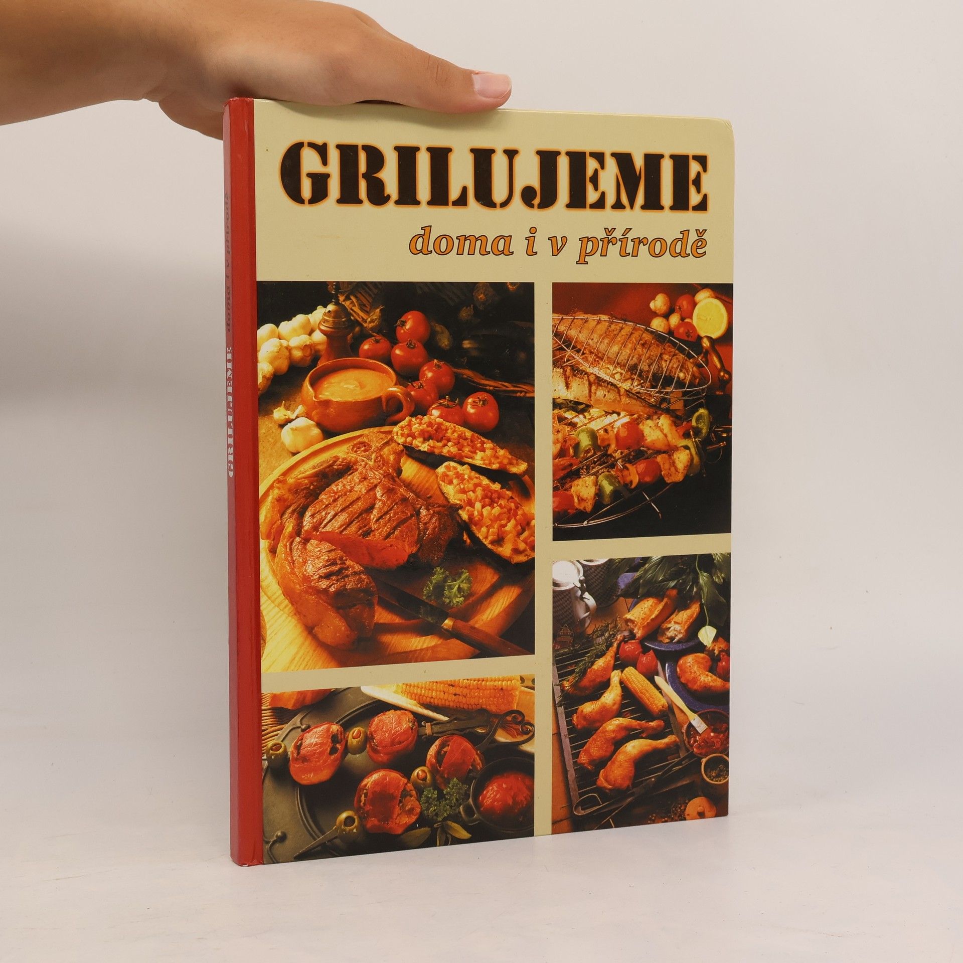 Autorenkollektiv Grilujeme doma i v přírodě
