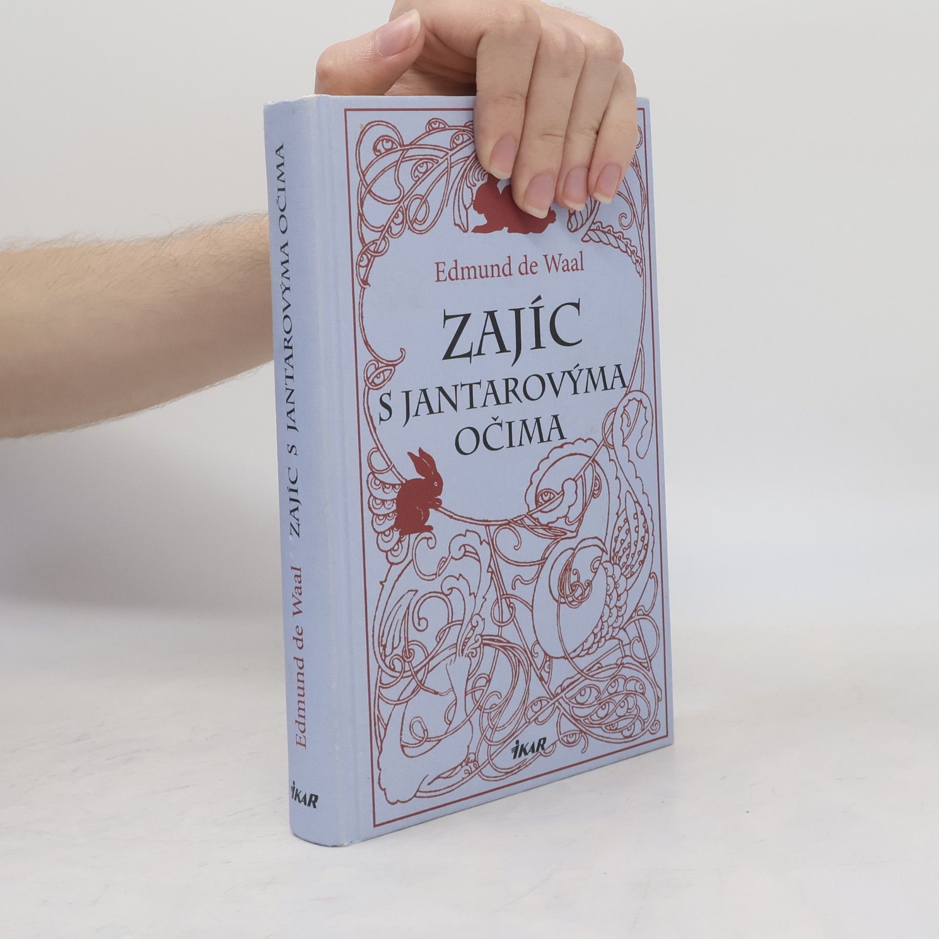 Edmund De Waal Zajíc s jantarovýma očima