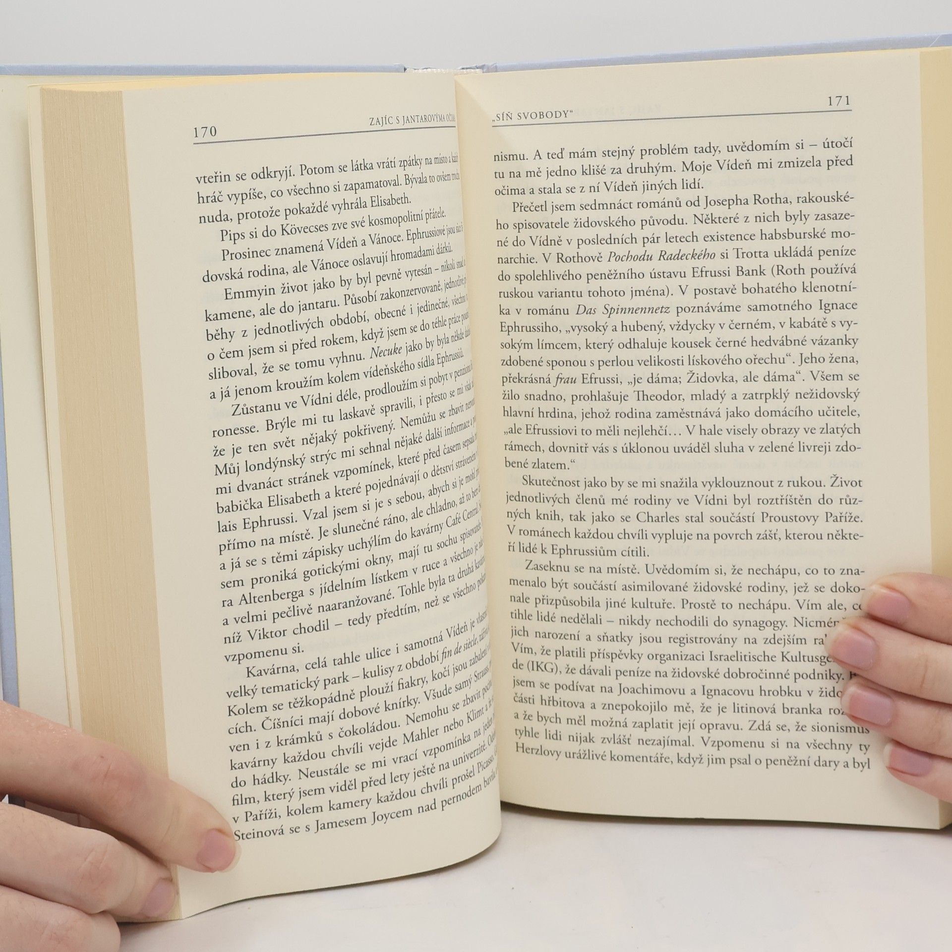 Edmund De Waal Zajíc s jantarovýma očima