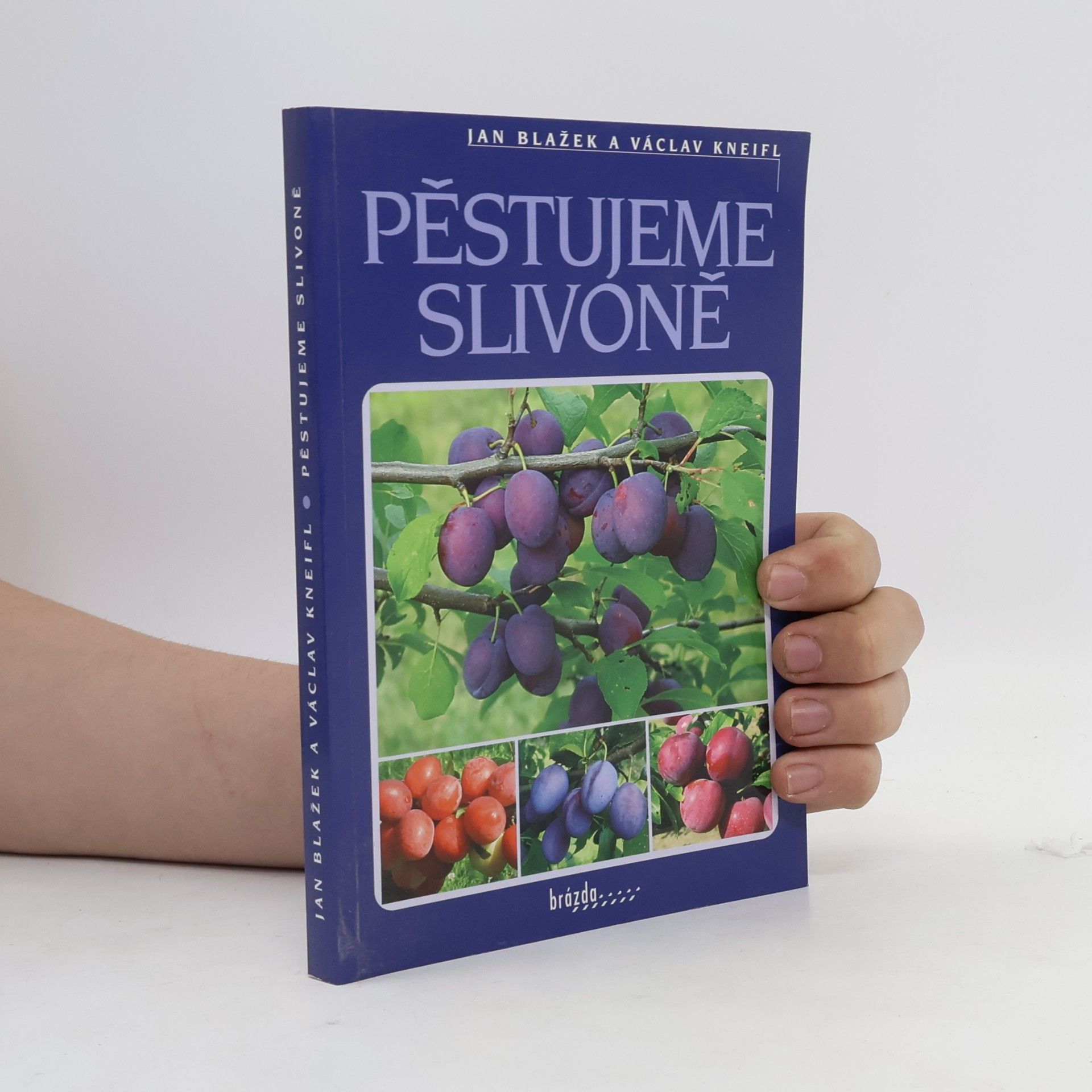 Václav Kneifl Pěstujeme slivoně