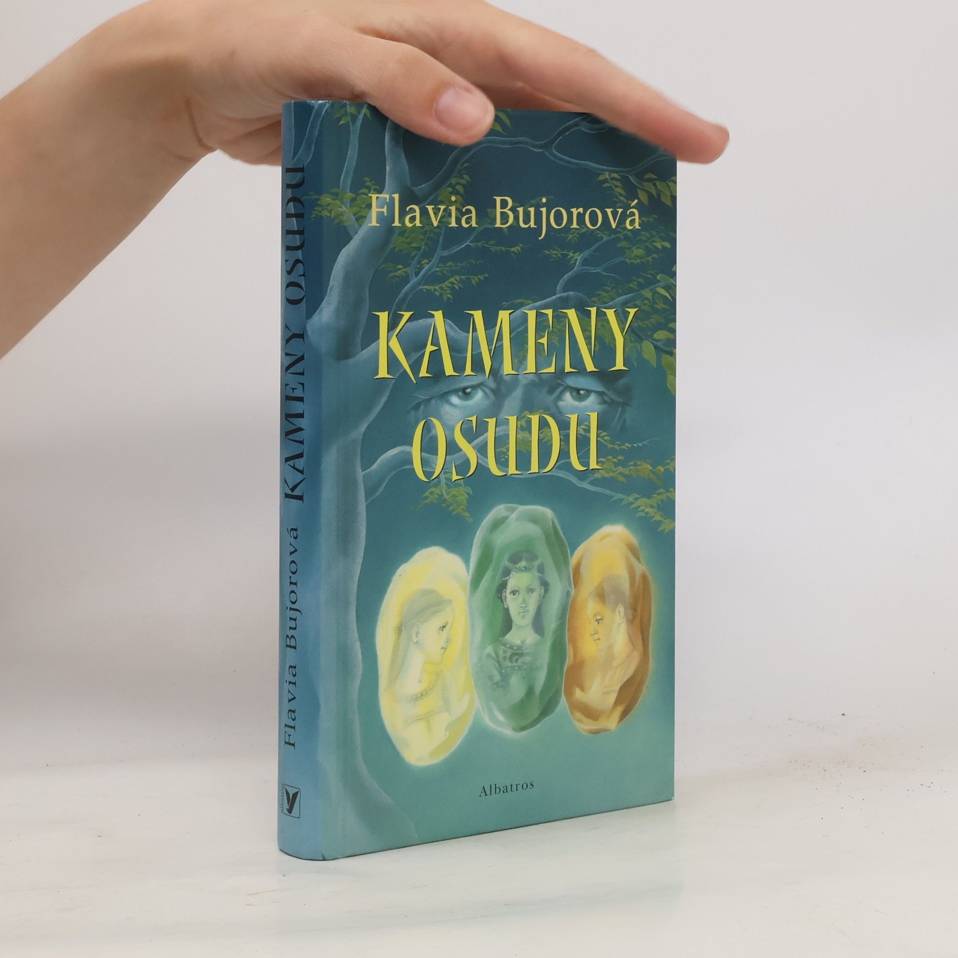 Flavia Bujor Kameny osudu