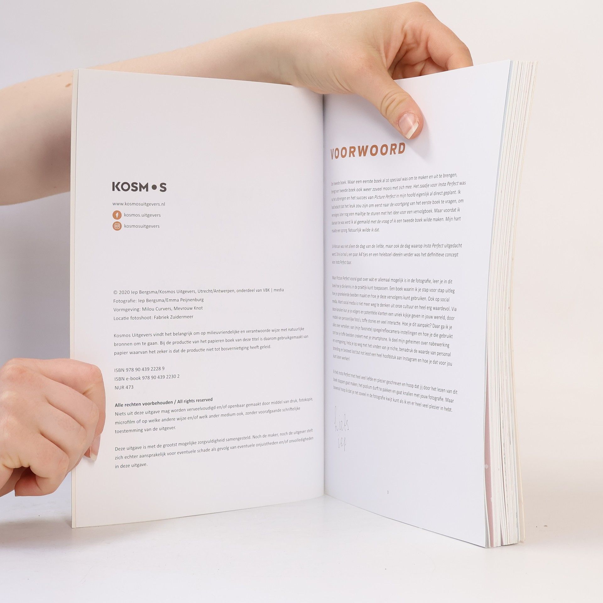 Iep Bergsma Insta perfect: fotografie voor social media
