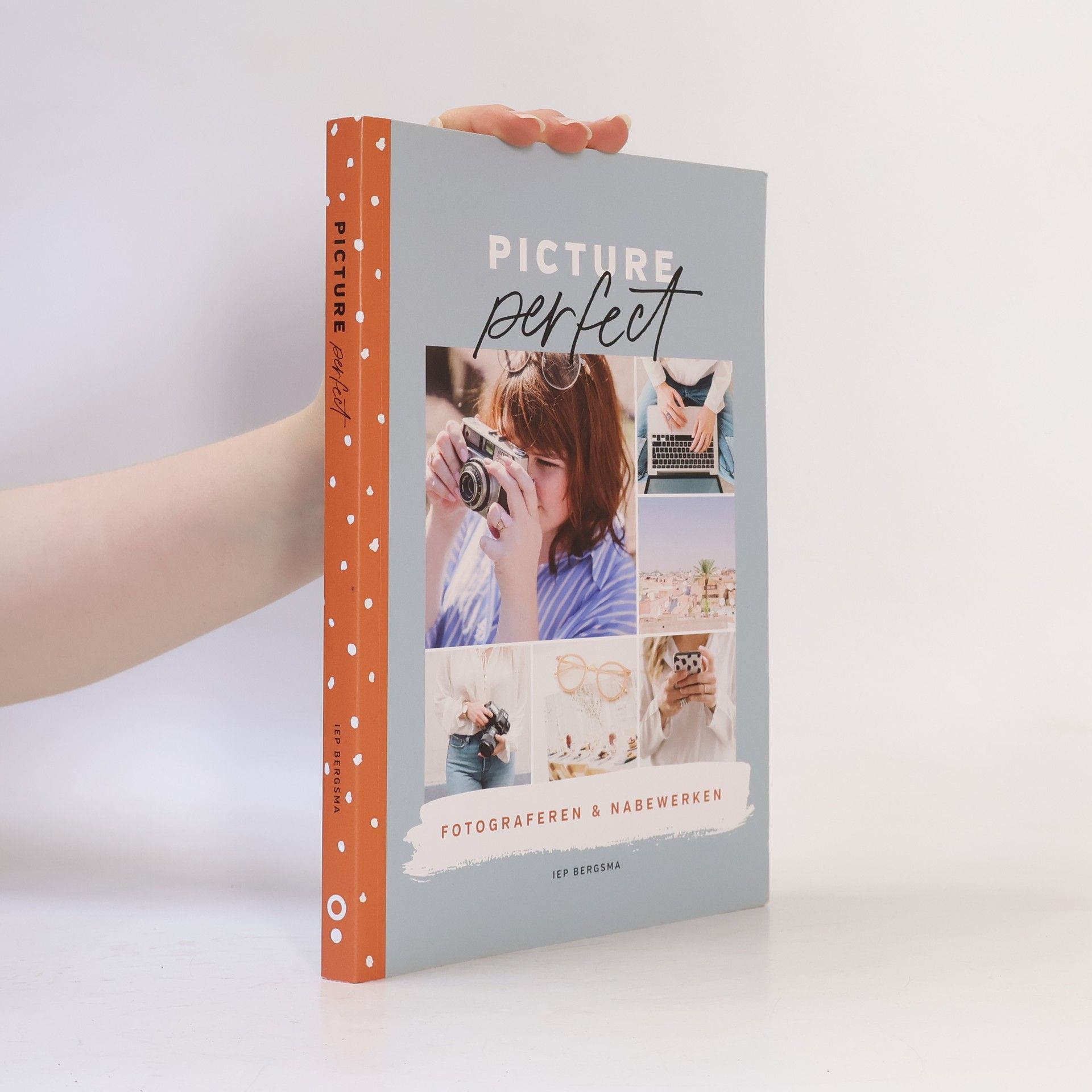 Iep Bergsma Picture perfect