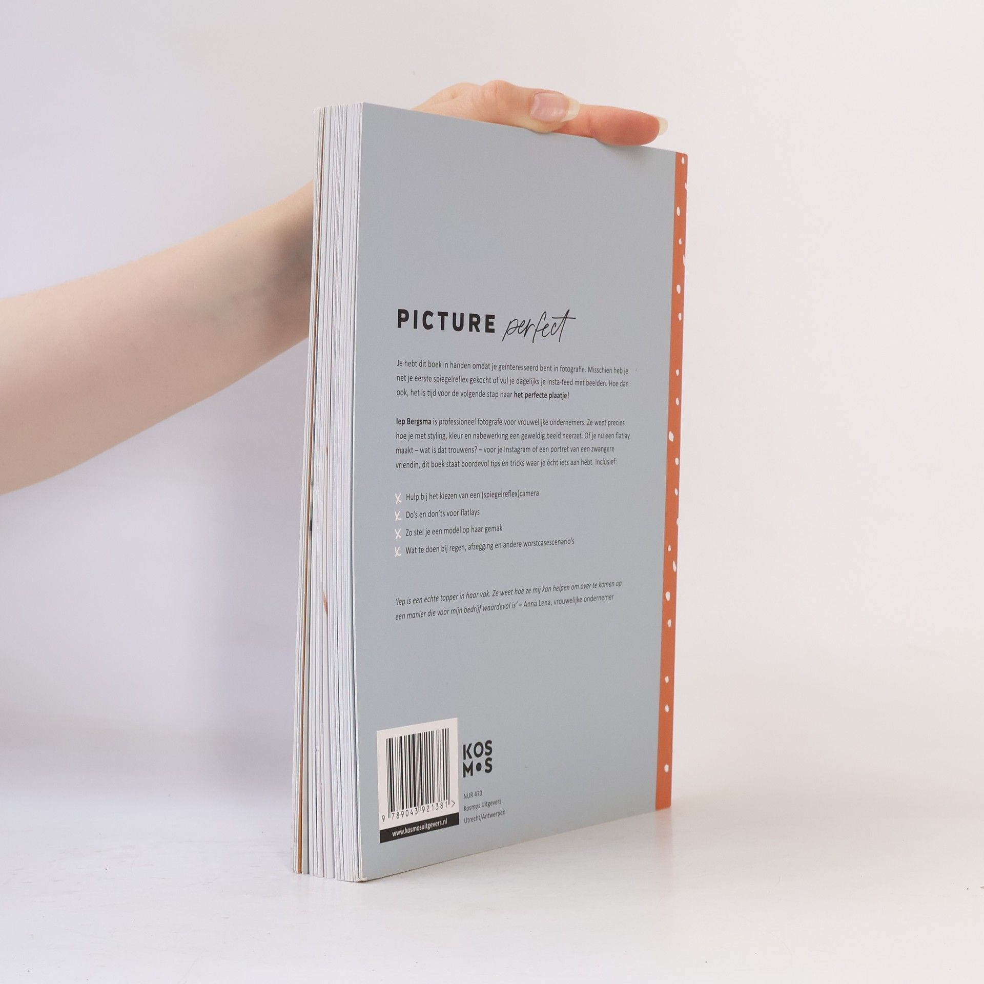 Iep Bergsma Picture perfect
