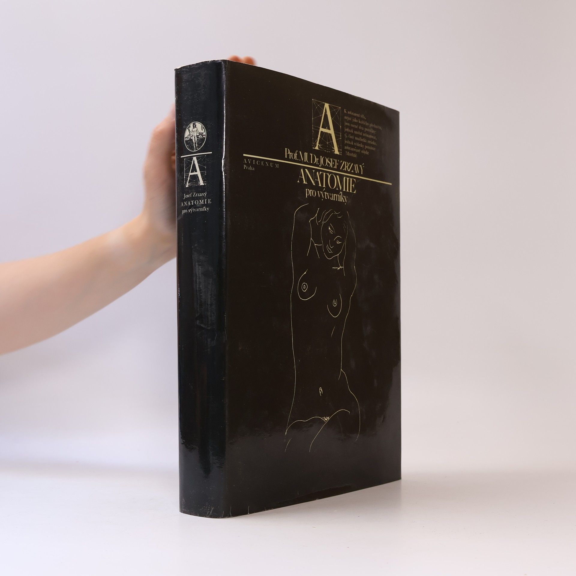 Josef Zrzavý Anatomie pro výtvarníky