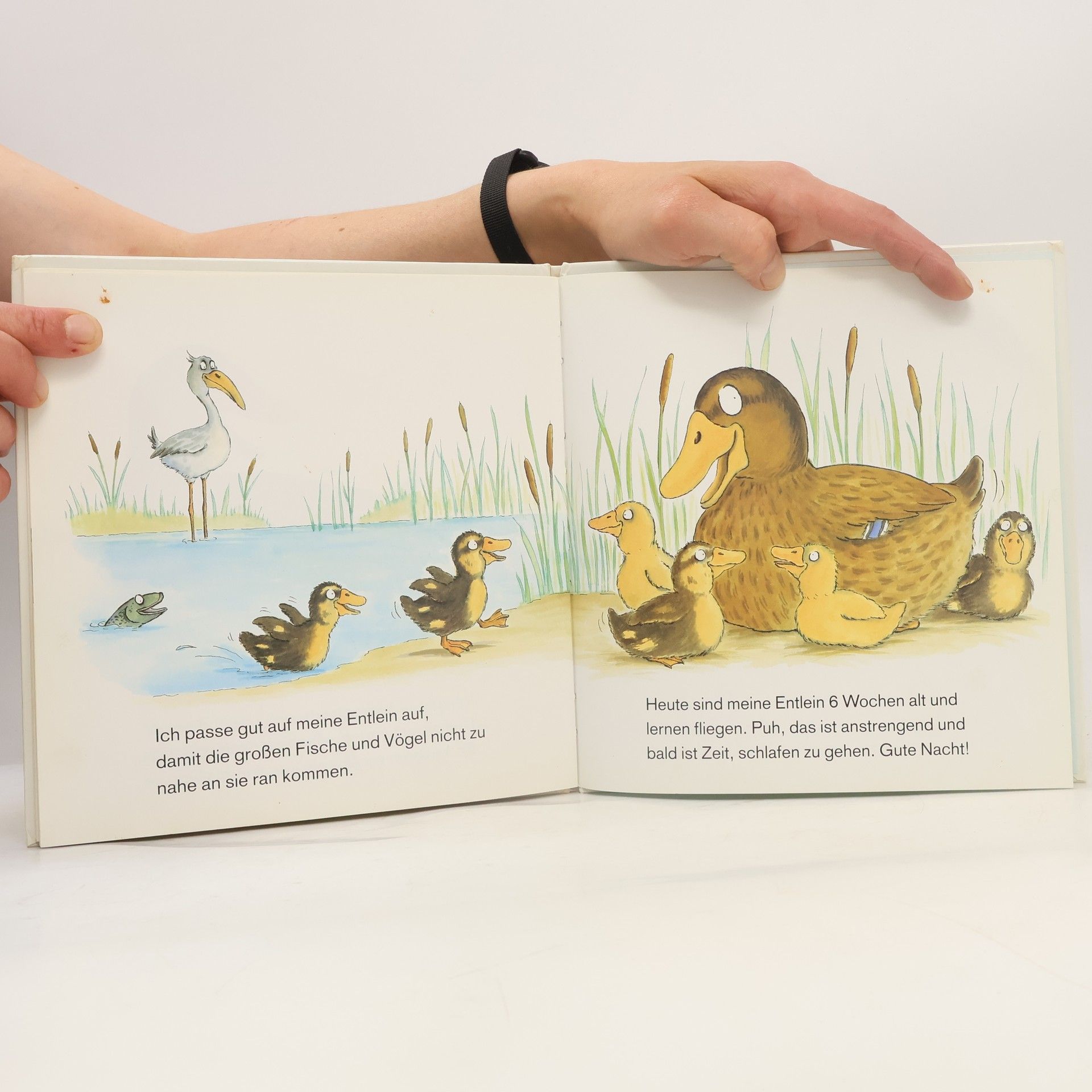 Linda Bygrave Ich bin die Ente