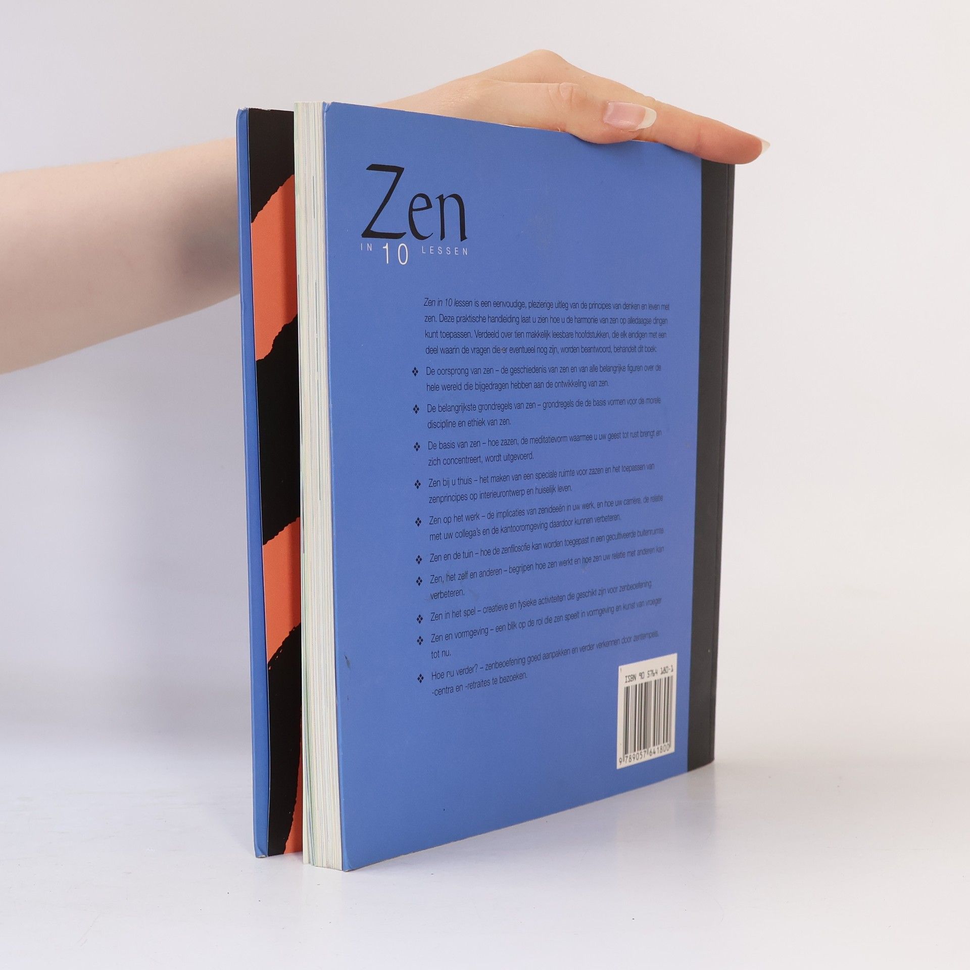 Anthony Man Tu Lee Zen in 10 lessen