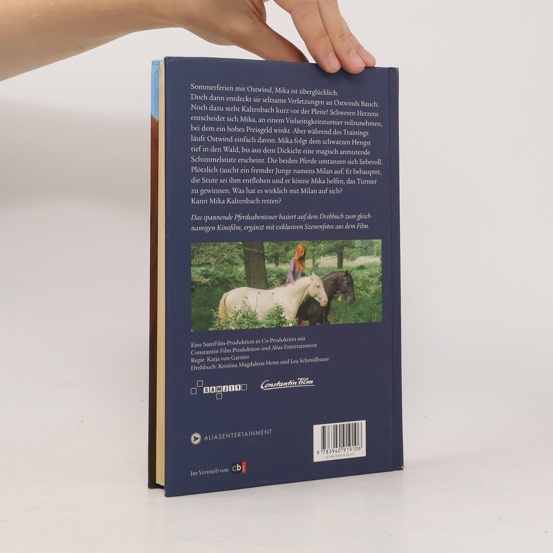 Kristina Magdalena Henn Ostwind 2 - Das Buch zum Film