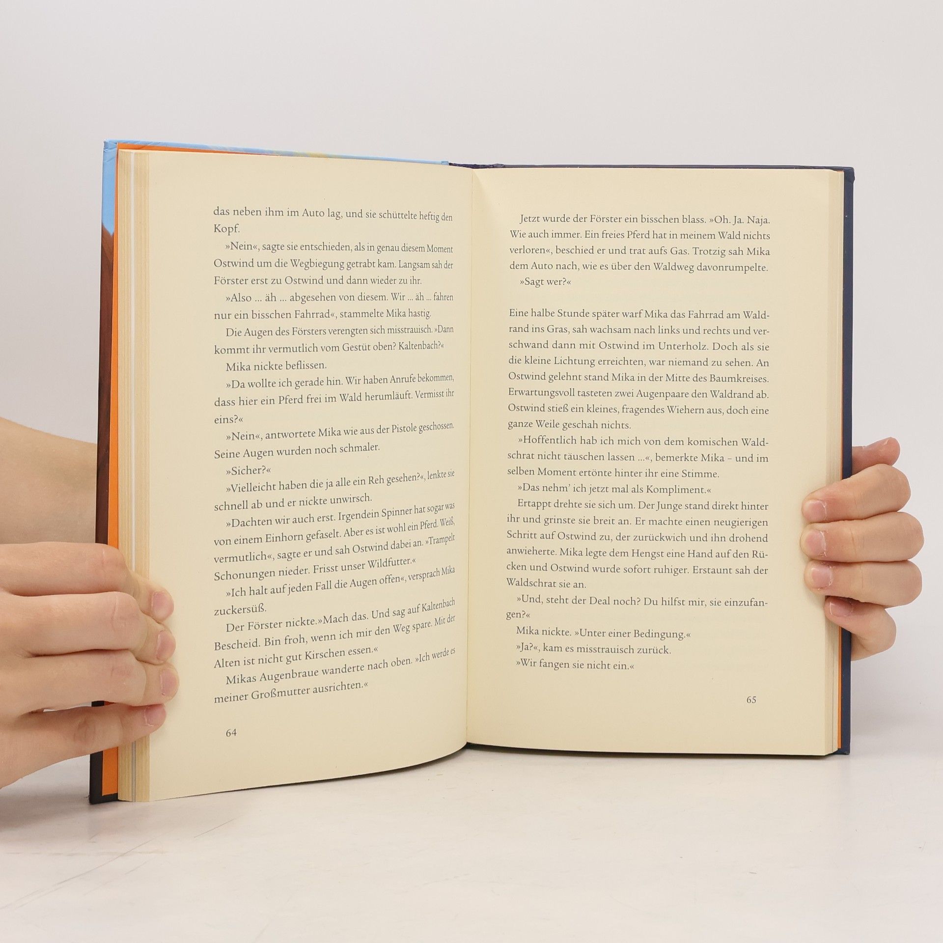 Kristina Magdalena Henn Ostwind 2 - Das Buch zum Film