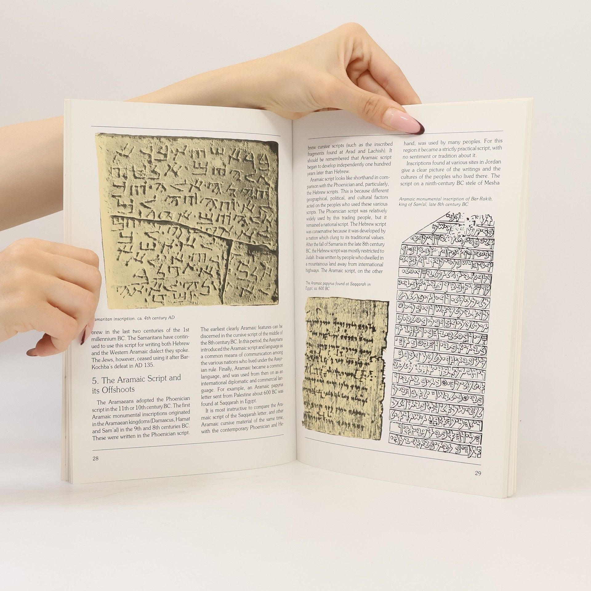 Joseph Naveh Die Entstehung des Alphabets