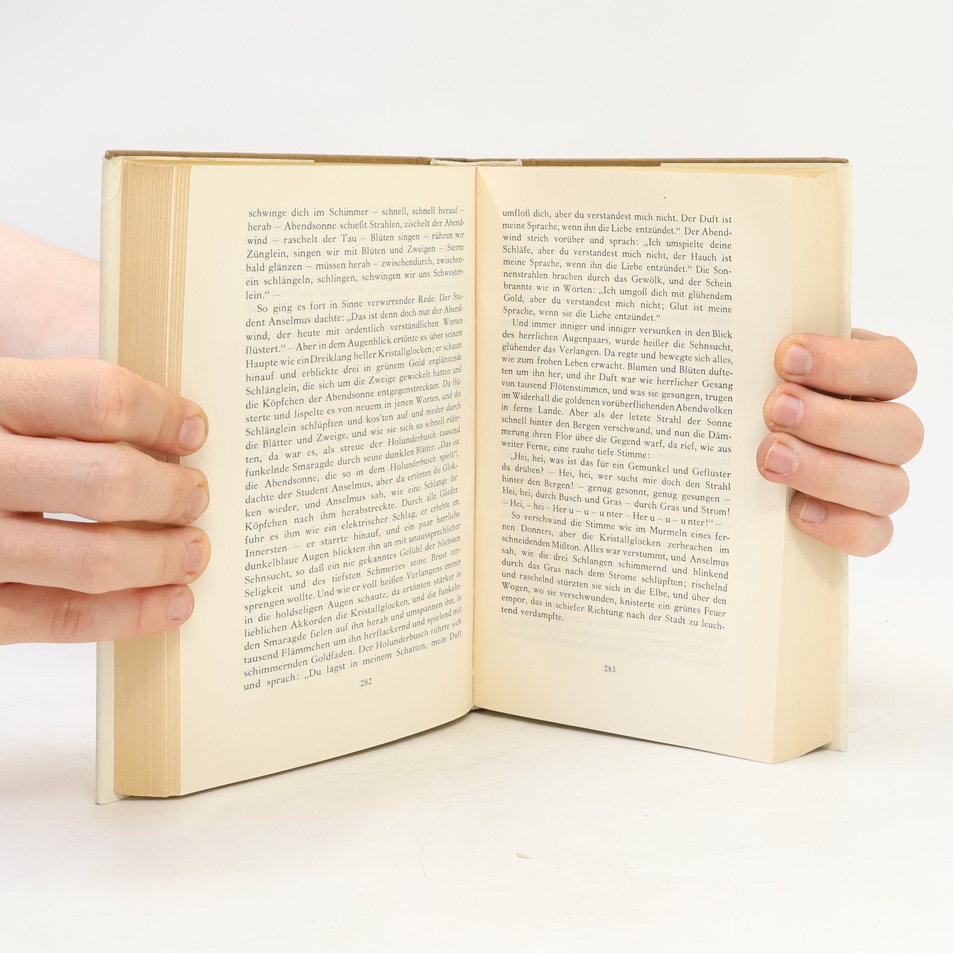 E. T. A. Hoffmann Poetische Werke 1
