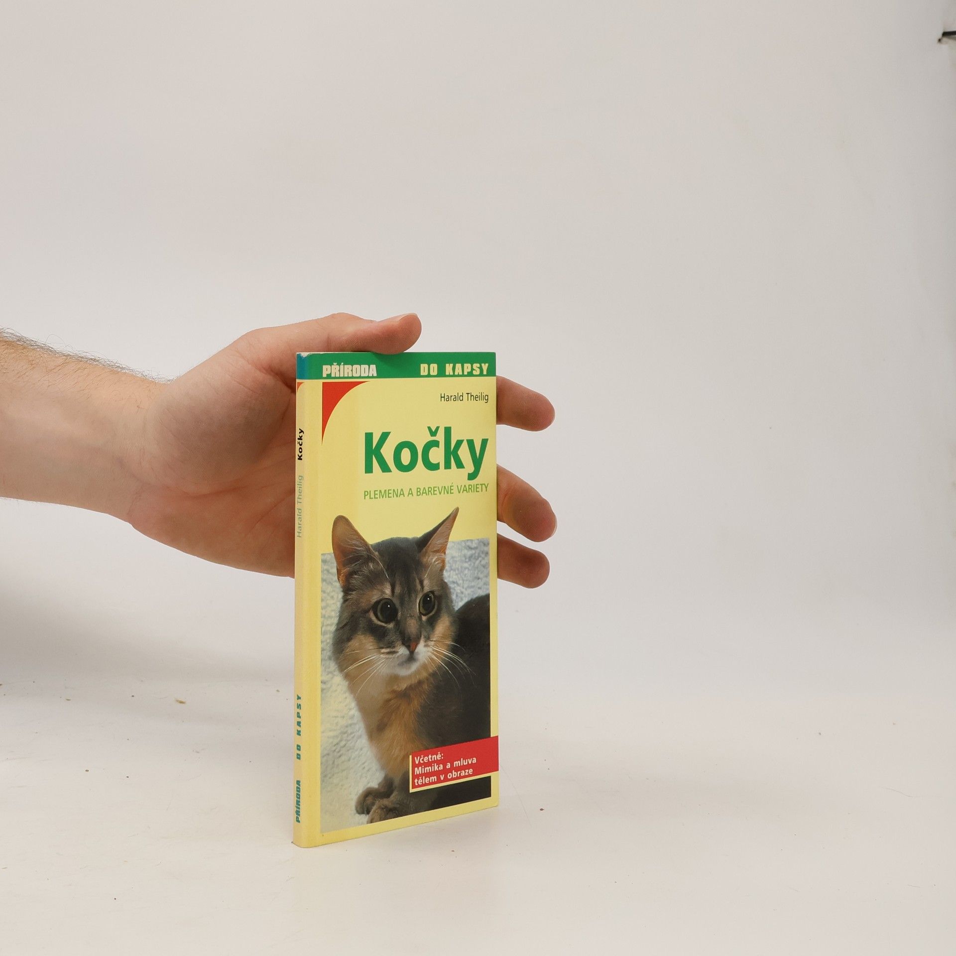 Kočky