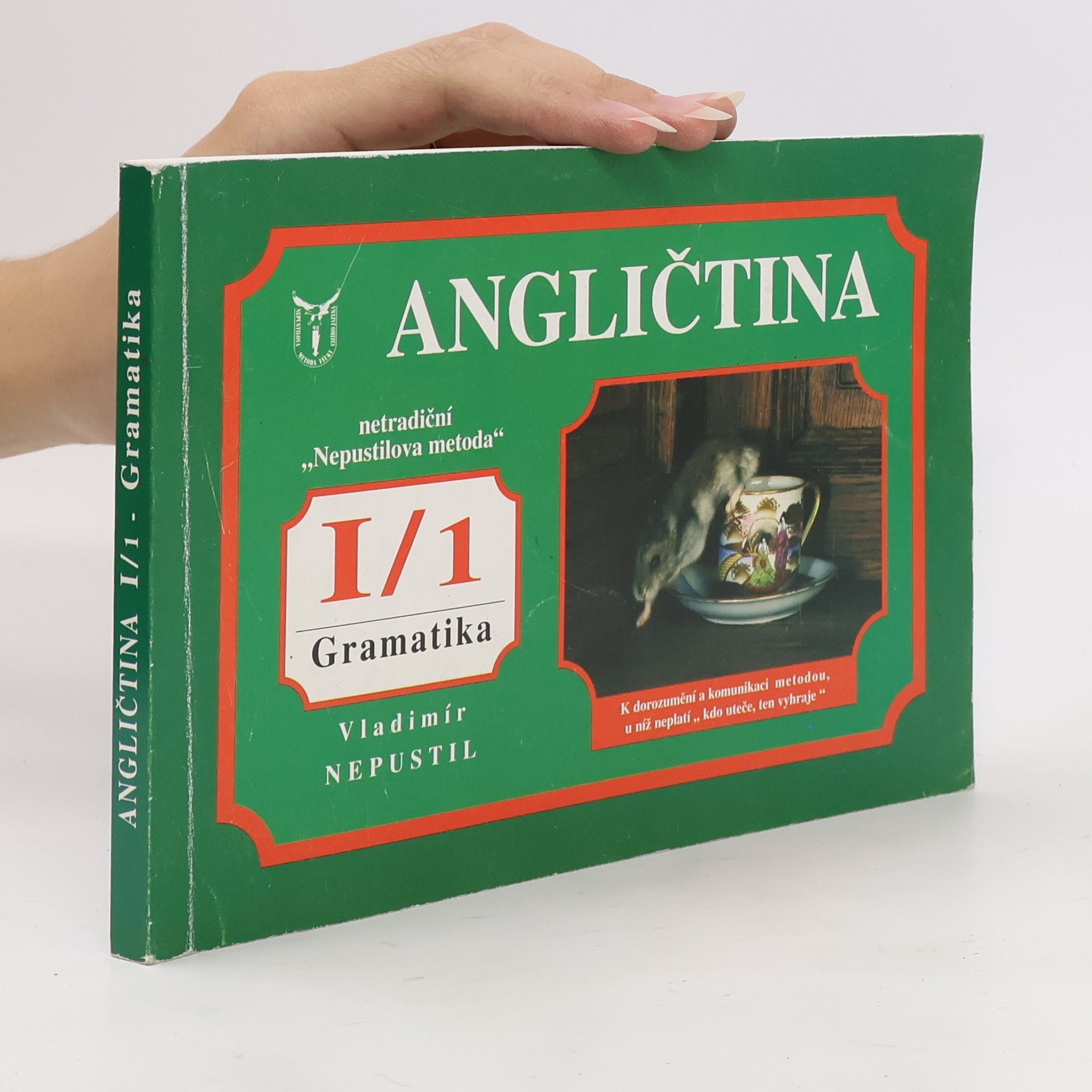 Vladimír Nepustil Angličtina I/1. Gramatika