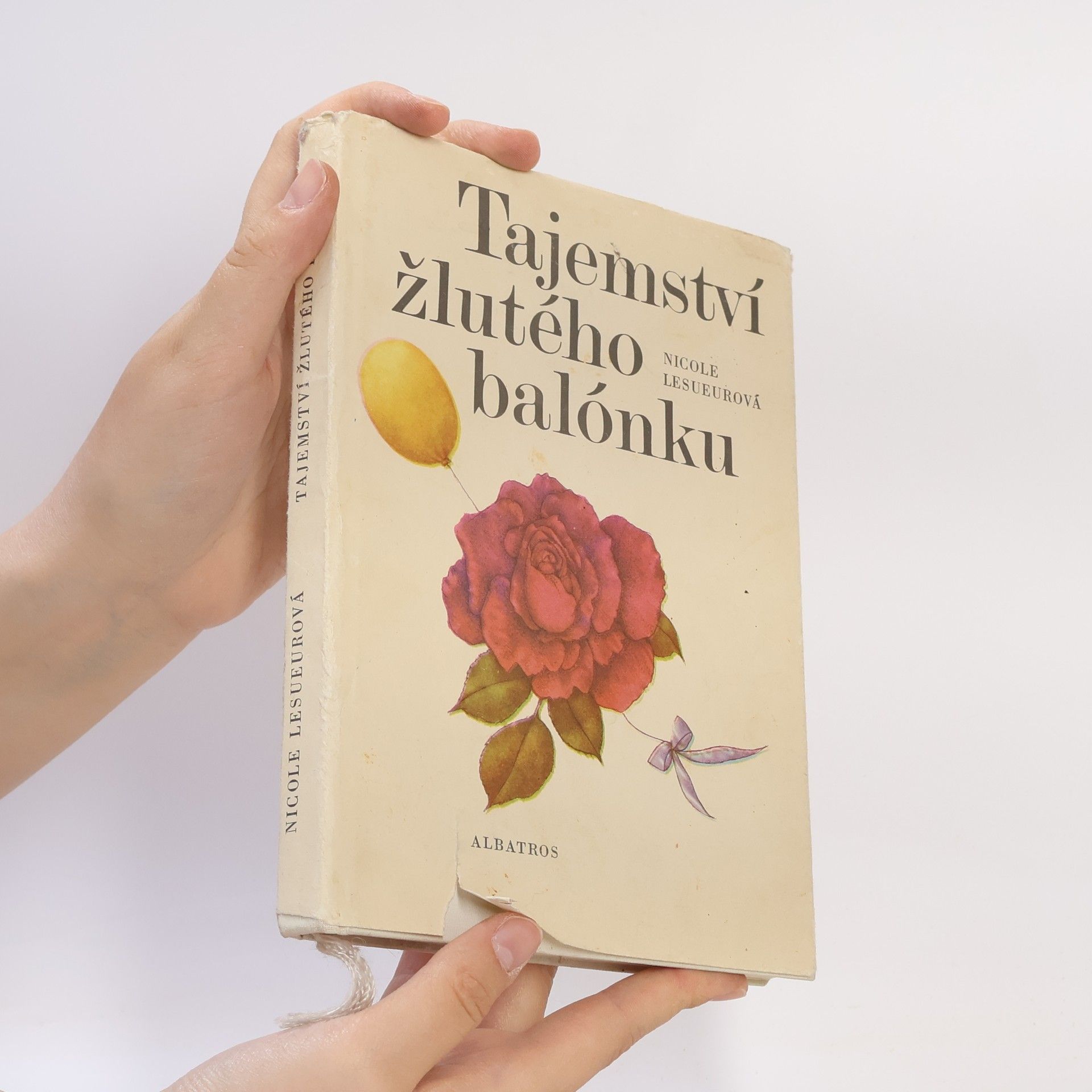 Nicole Lesueur Tajemství žlutého balónku