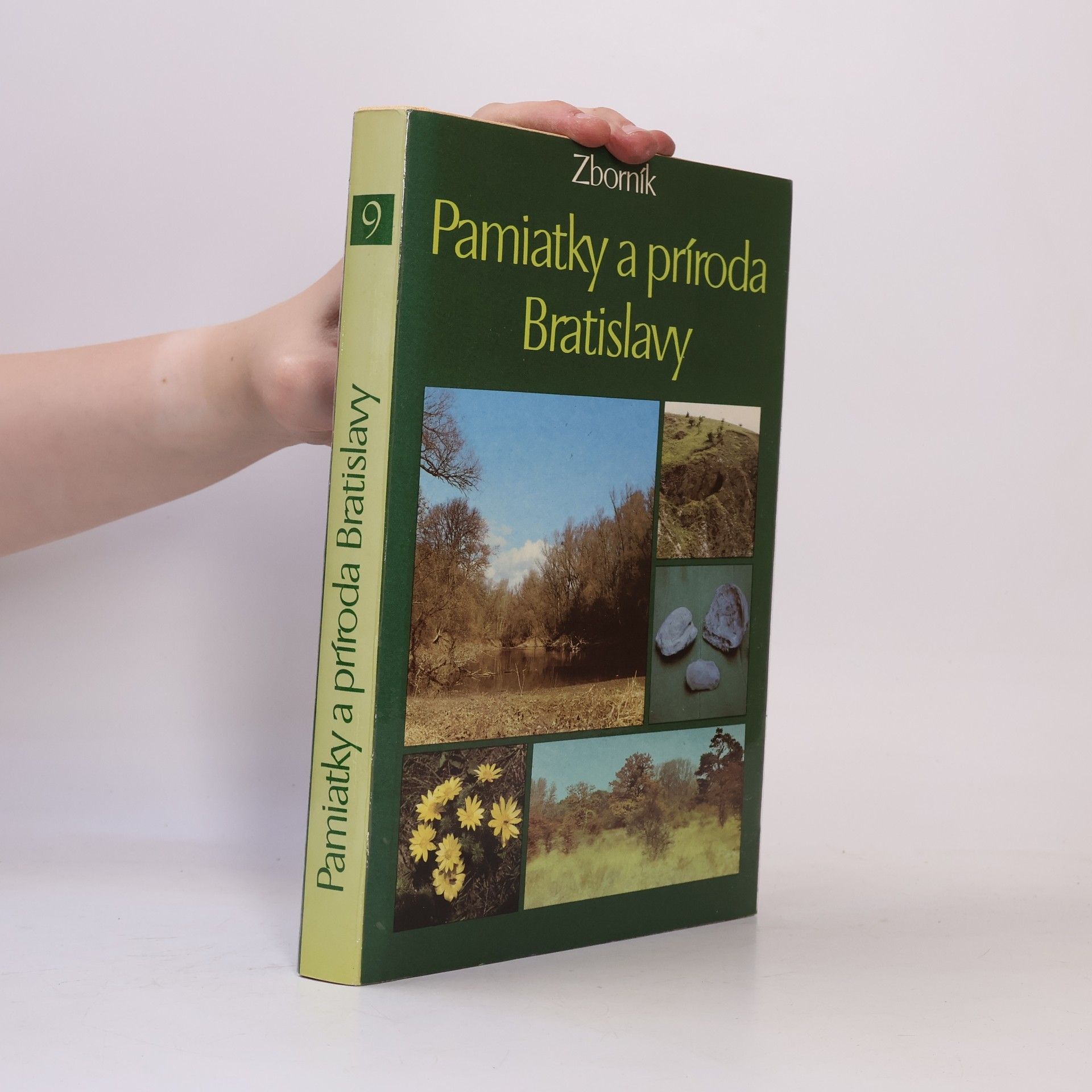 Autorenkollektiv Pamiatky a príroda Bratislavy 9