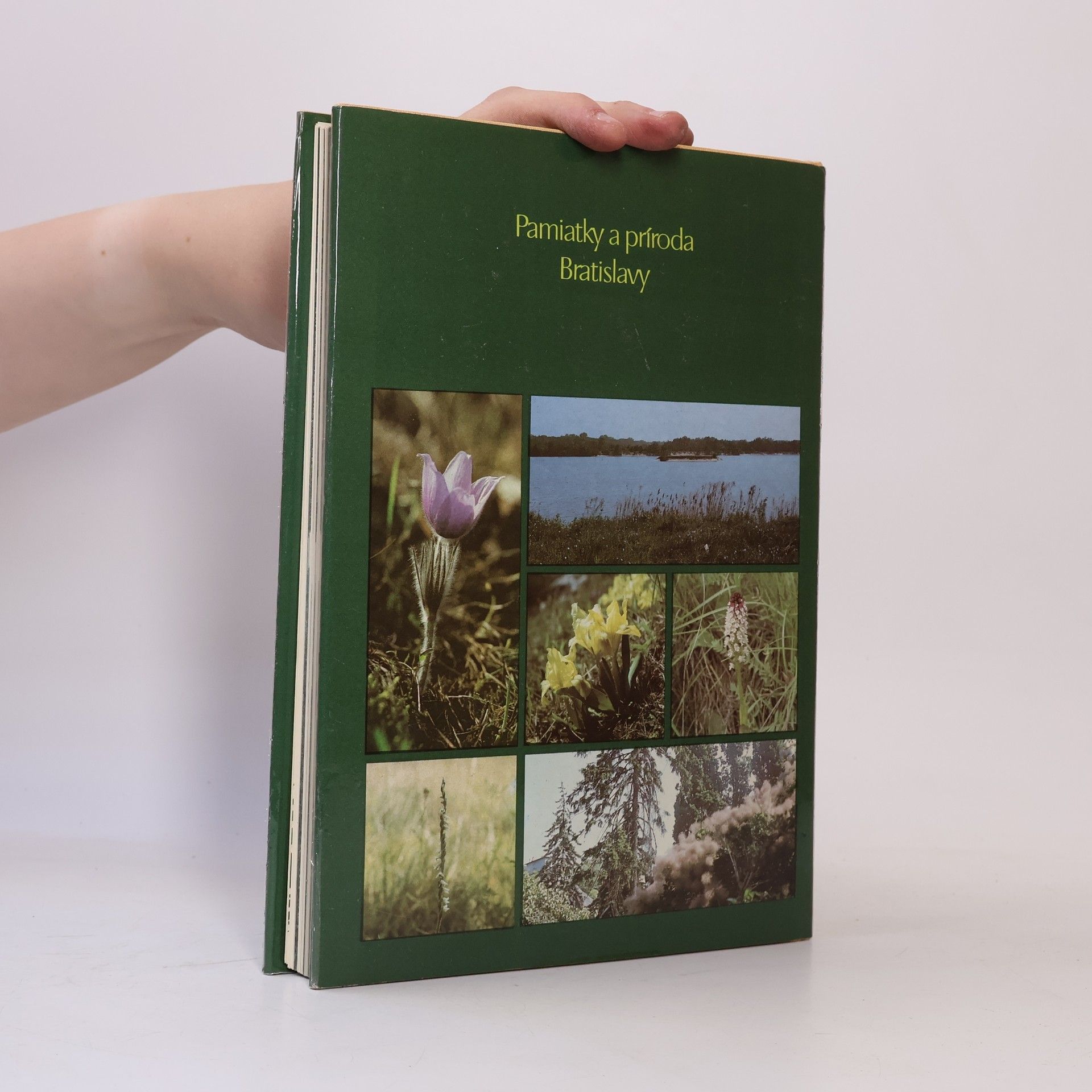 Collectif d'auteurs Pamiatky a príroda Bratislavy 9