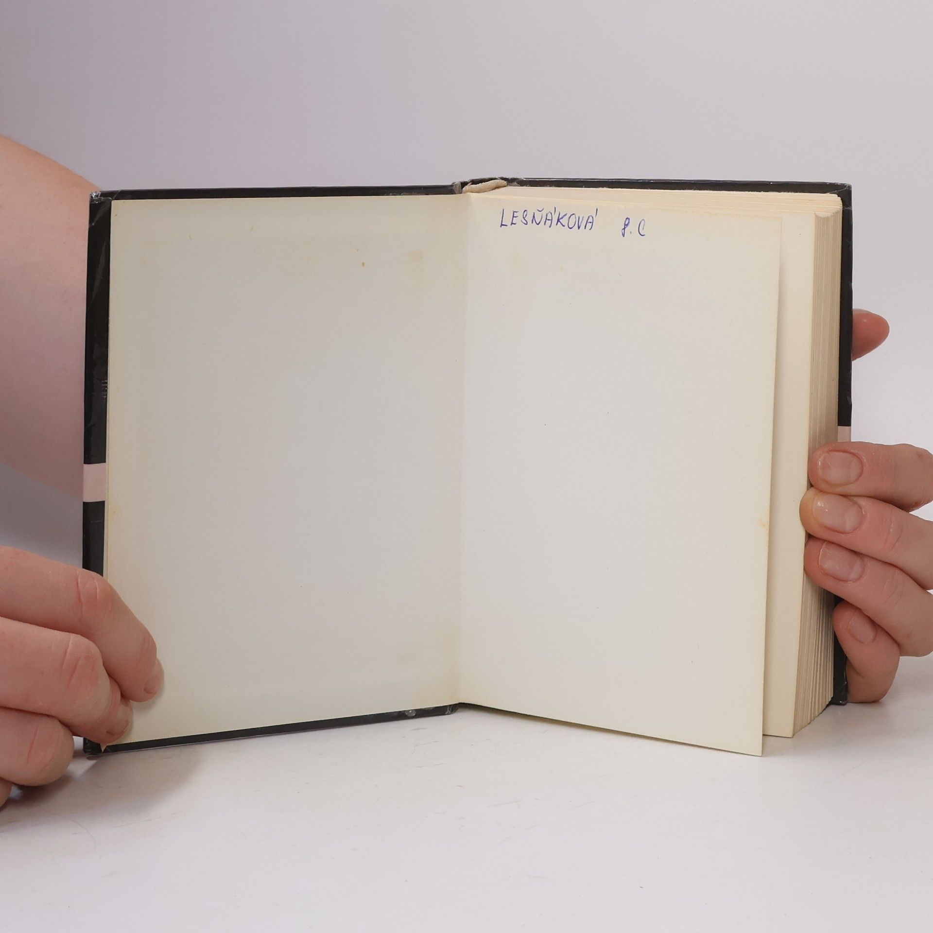 Autorenkollektiv Rusko-český. Česko-ruský kapesní slovník