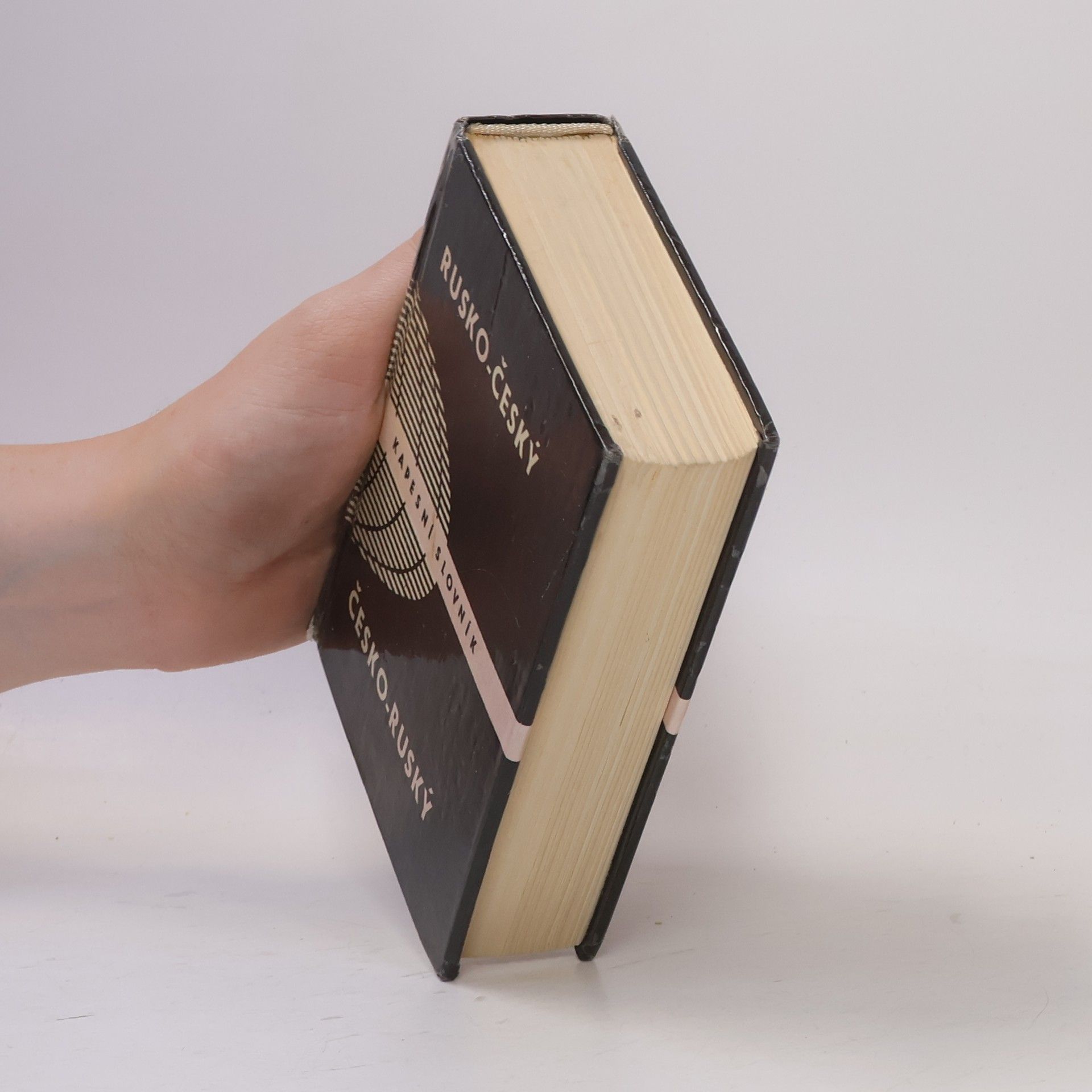 Autorenkollektiv Rusko-český. Česko-ruský kapesní slovník
