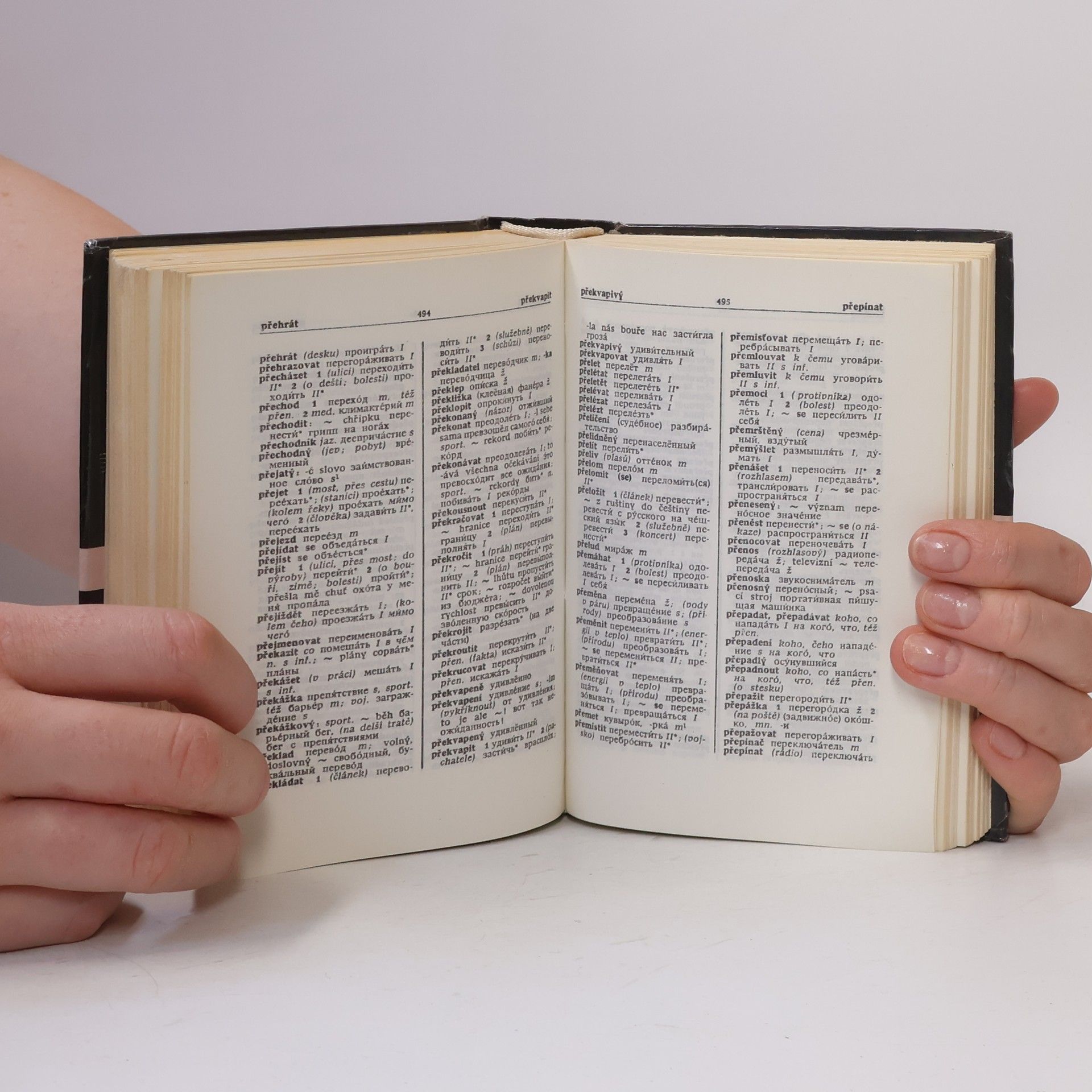 Autorenkollektiv Rusko-český. Česko-ruský kapesní slovník