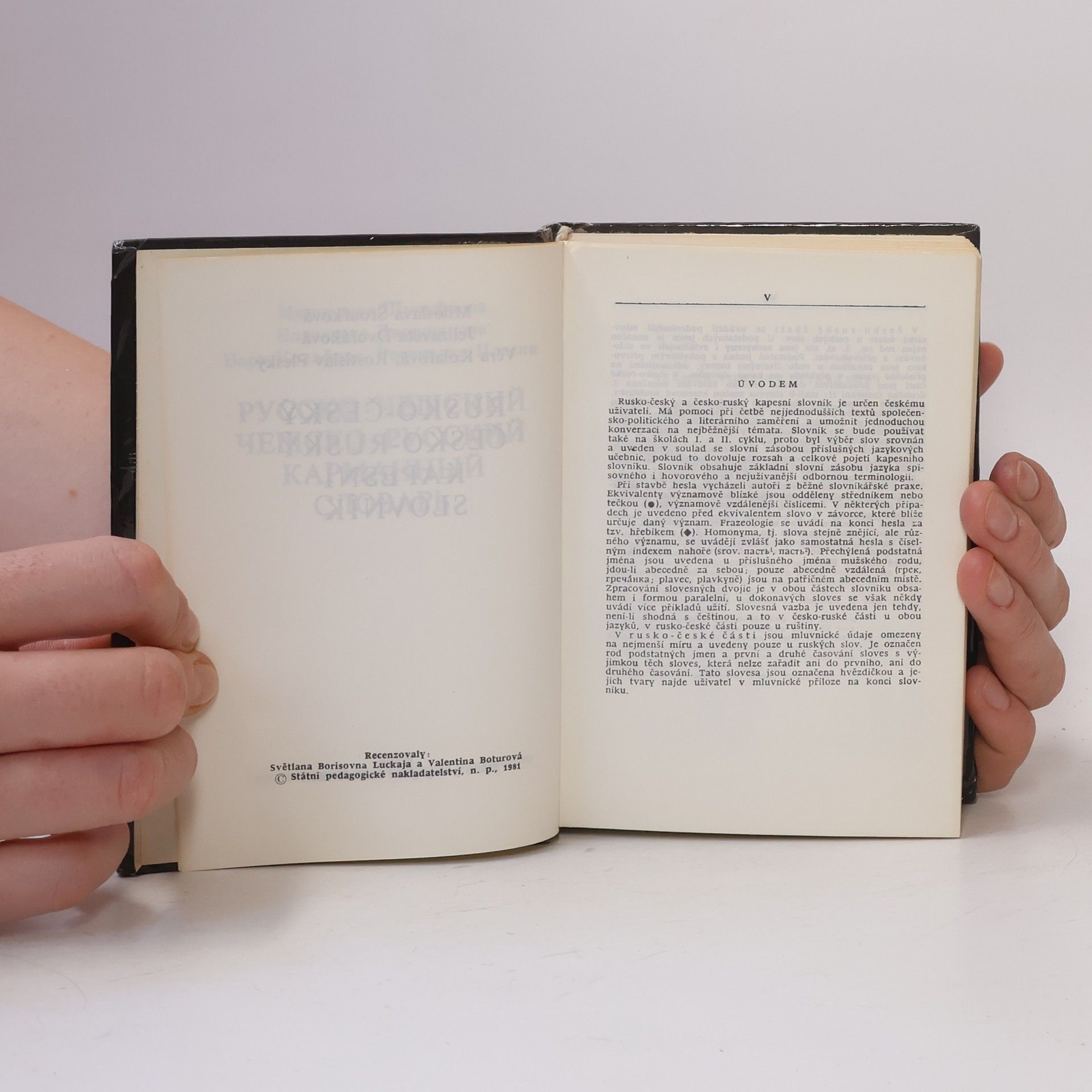Autorenkollektiv Rusko-český. Česko-ruský kapesní slovník