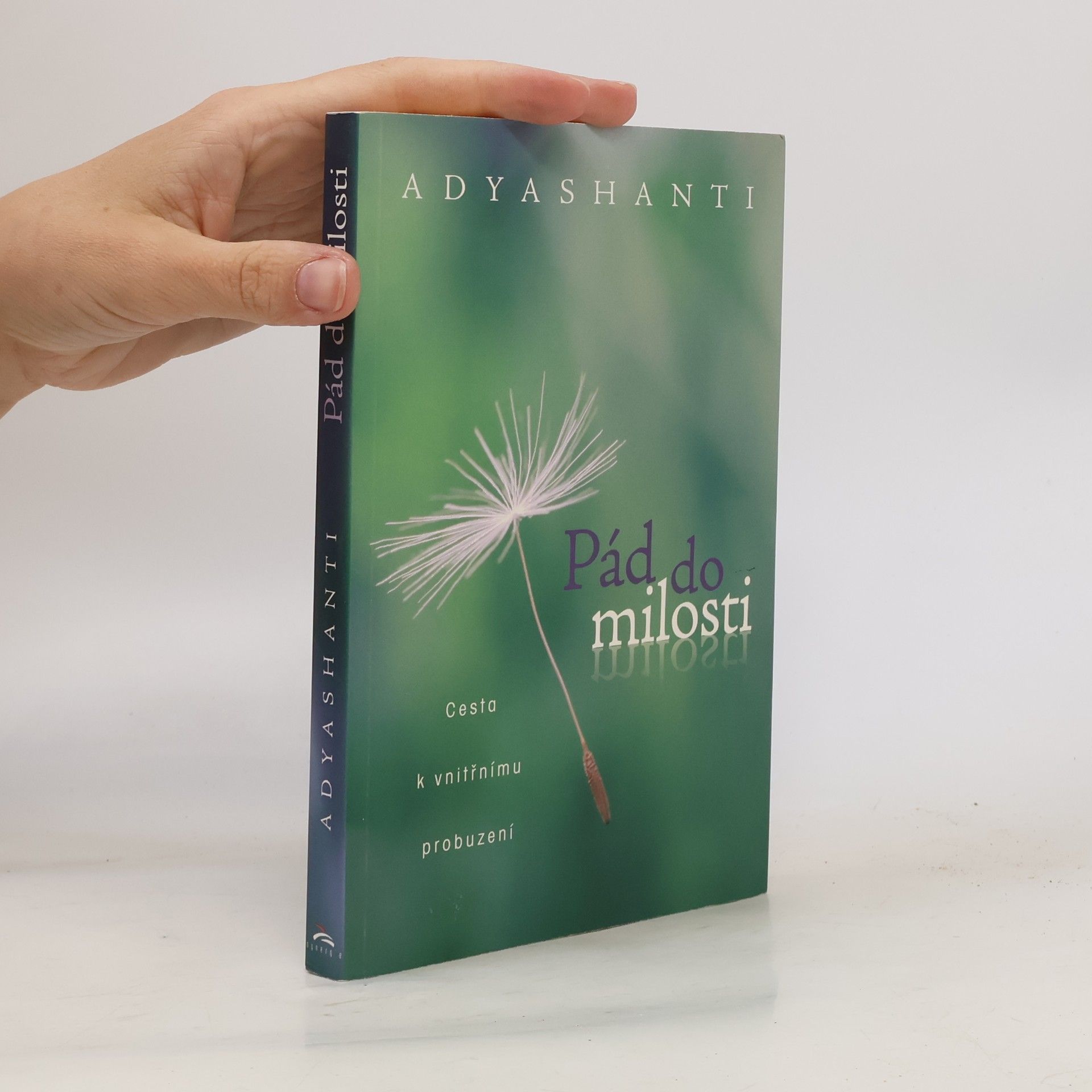 Adyashanti Pád do milosti