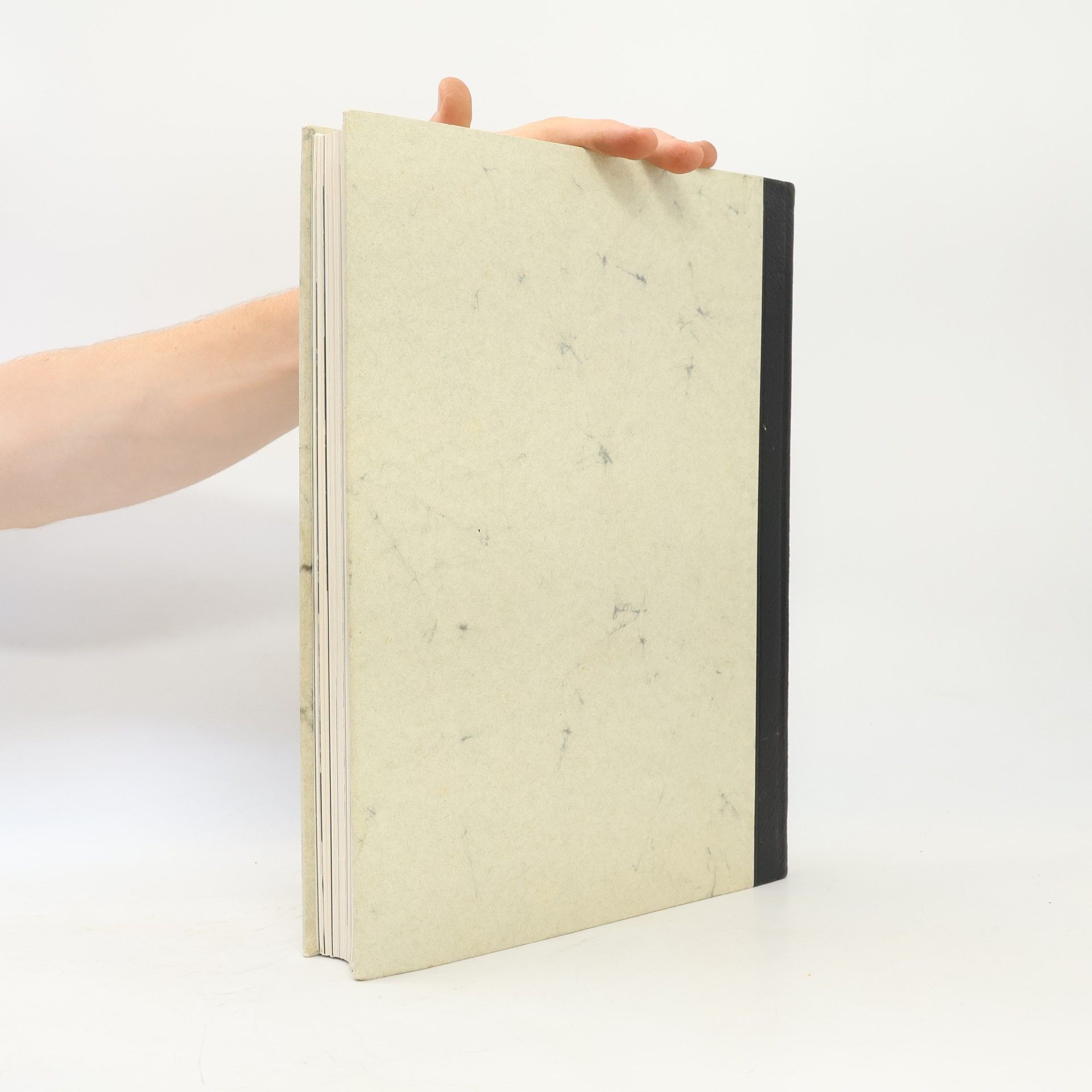 John H. Plumb Das Grosse Buch der Renaissance