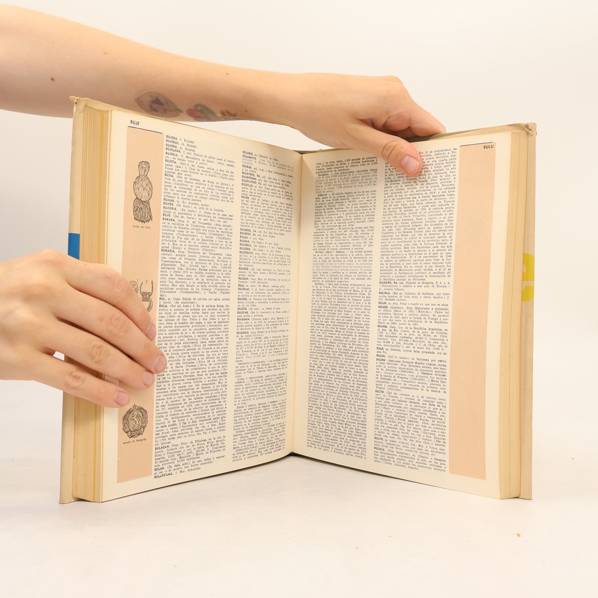 Autores varios Lectum 2