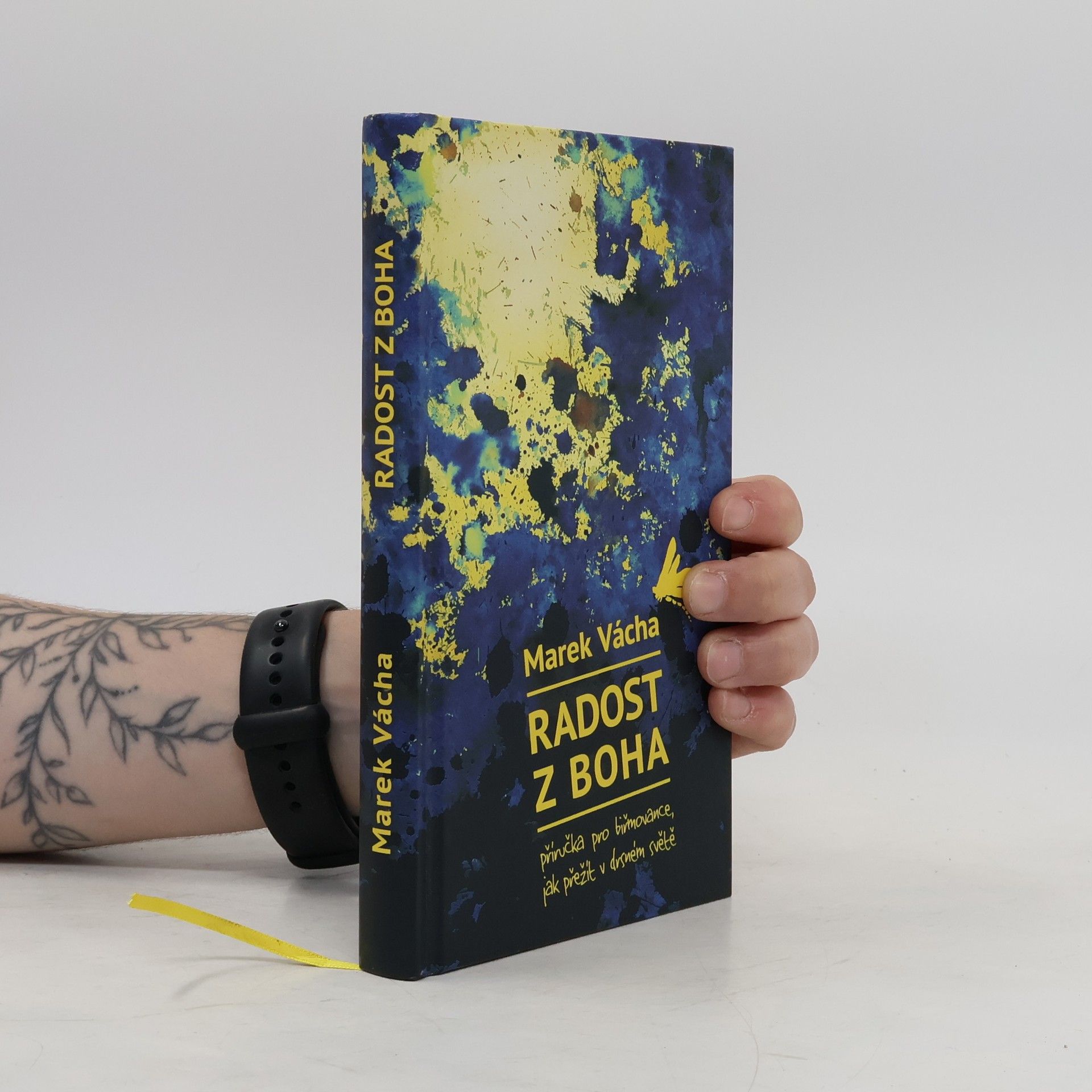 Marek Vácha Radost z Boha. Příručka pro biřmovance, jak přežít v drsném světě