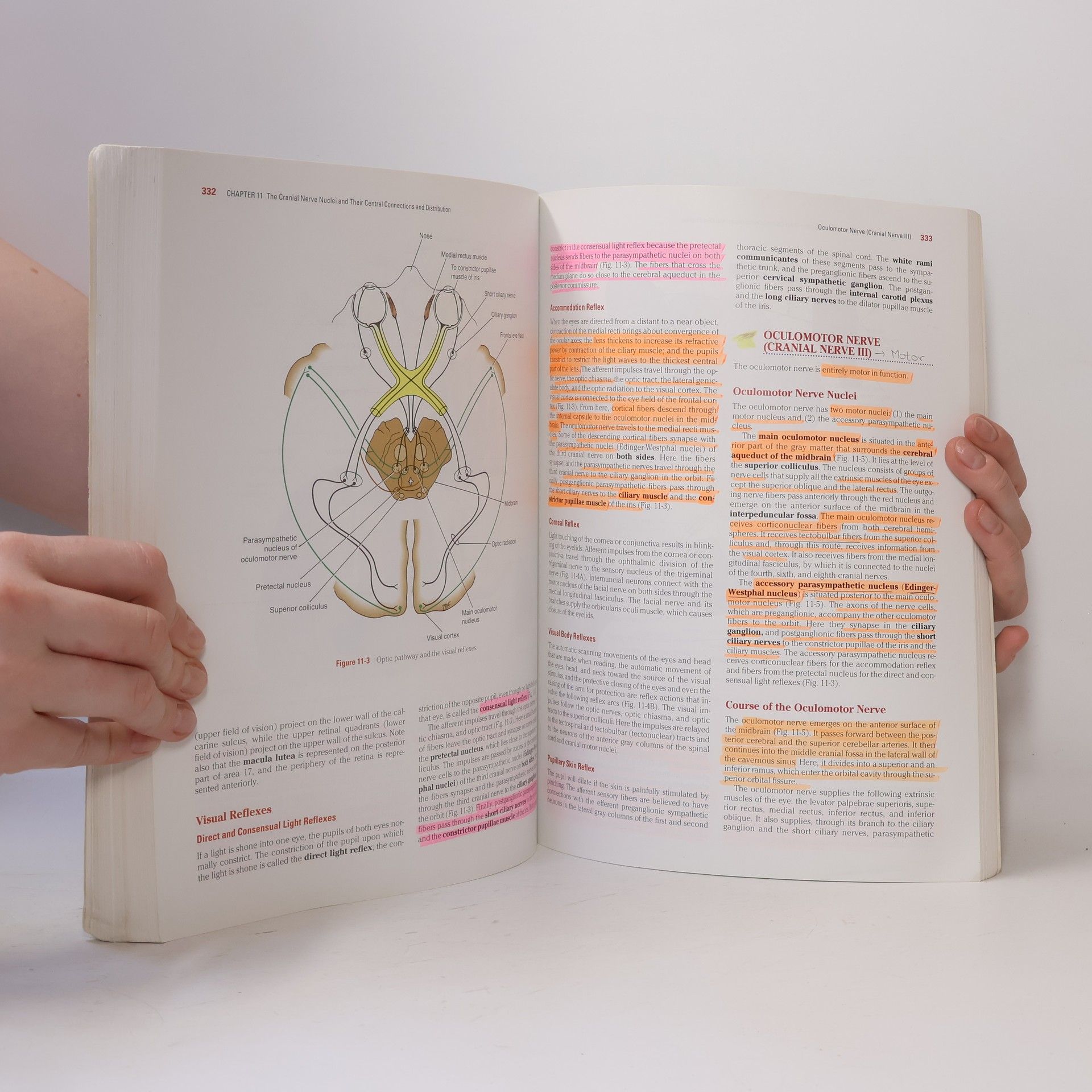 Richard S. Snell Clinical neuroanatomy