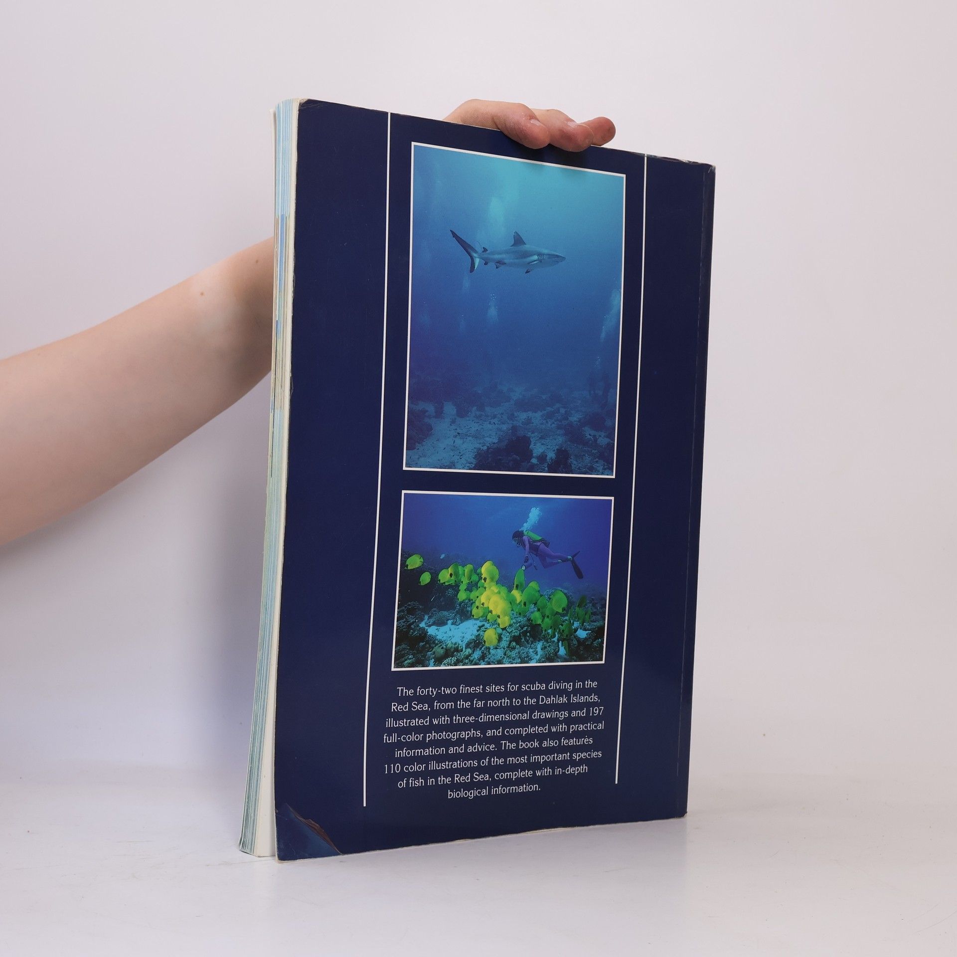 Andrea Ghisotti Red Sea. Diving Guide