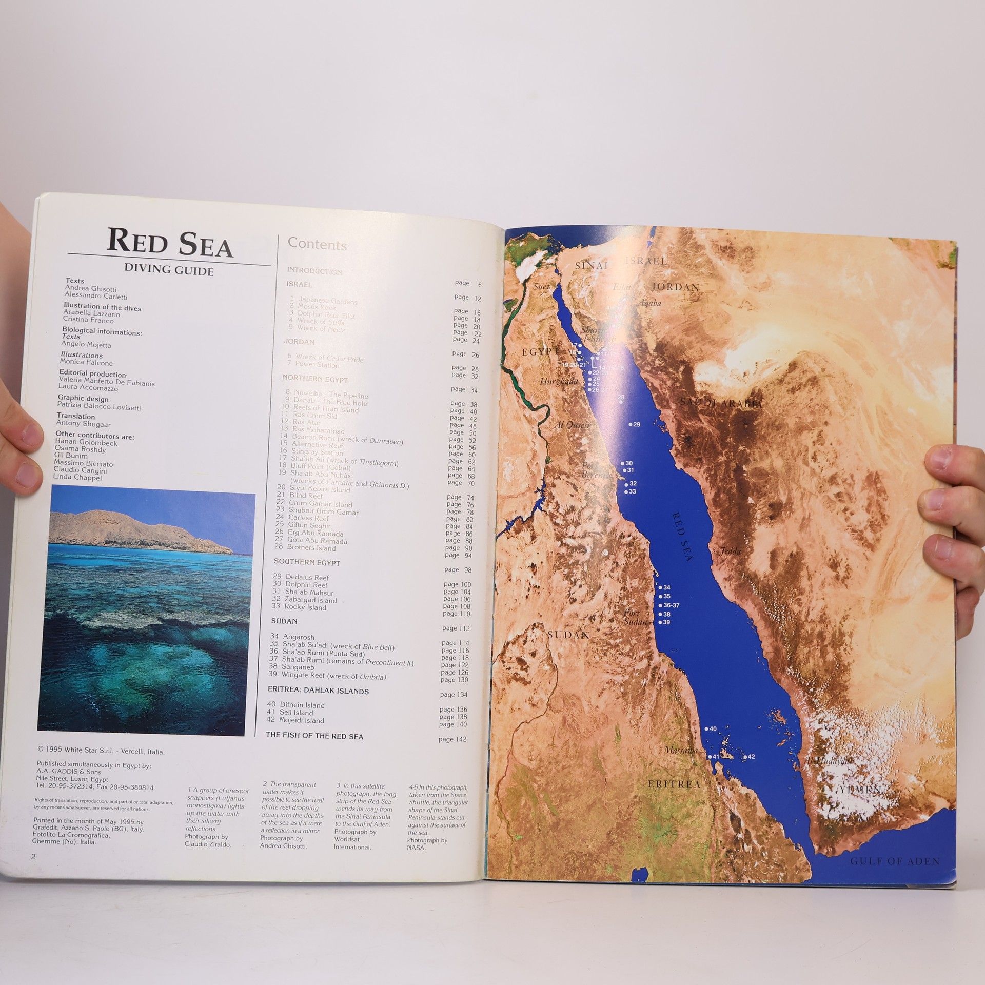 Andrea Ghisotti Red Sea. Diving Guide