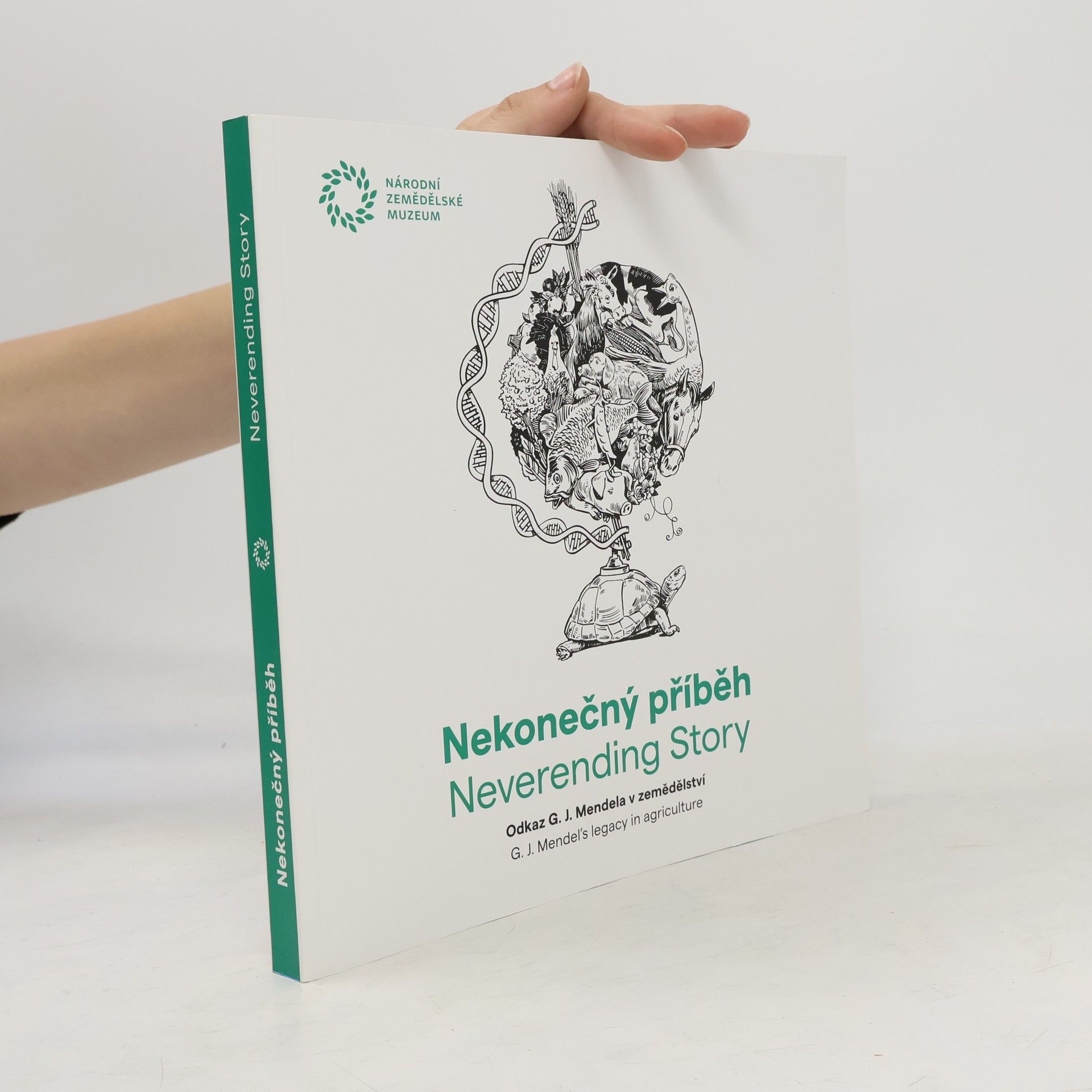 Michaela Zeinerová-Brachtlová Nekonečný příběh