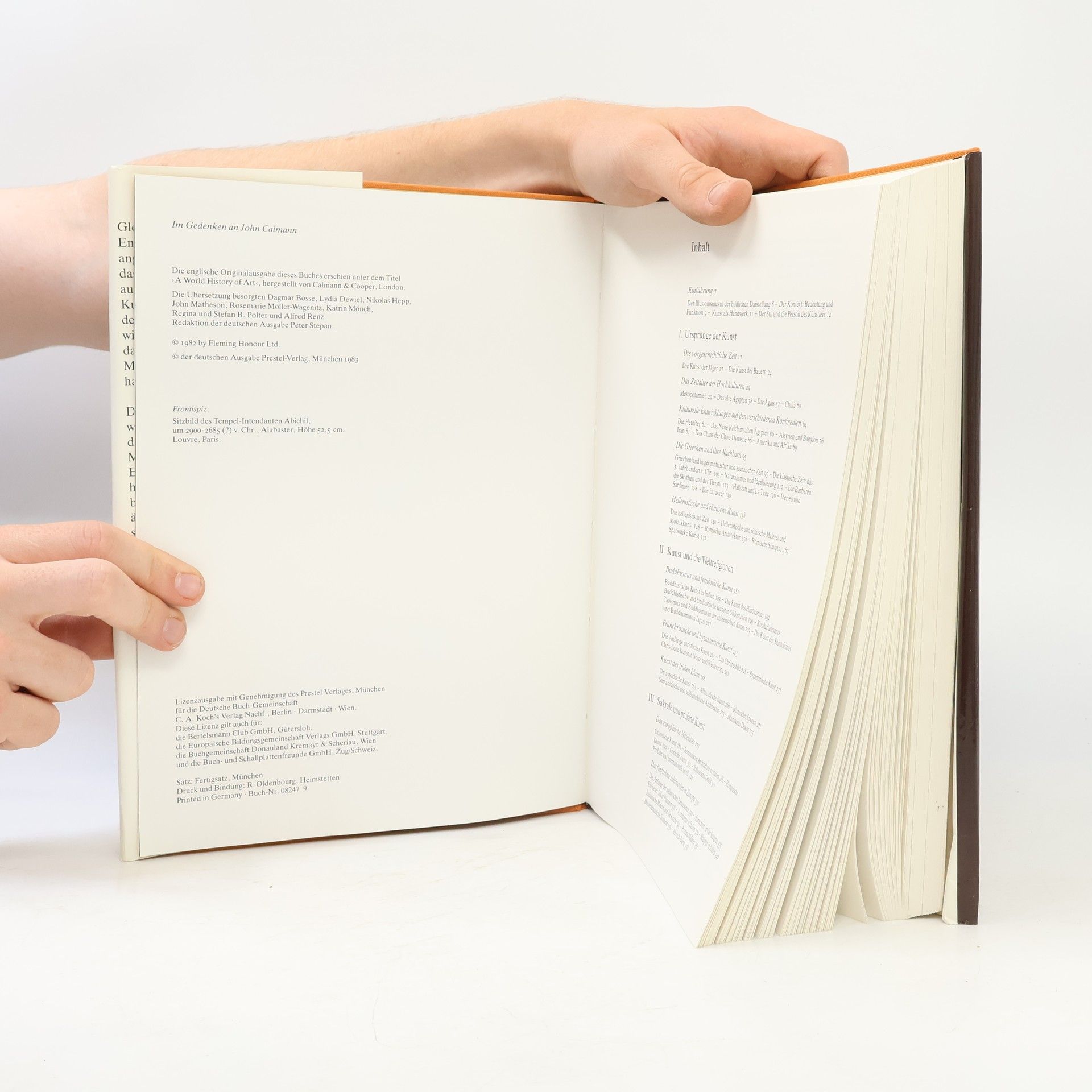 John Fleming Weltgeschichte der Kunst