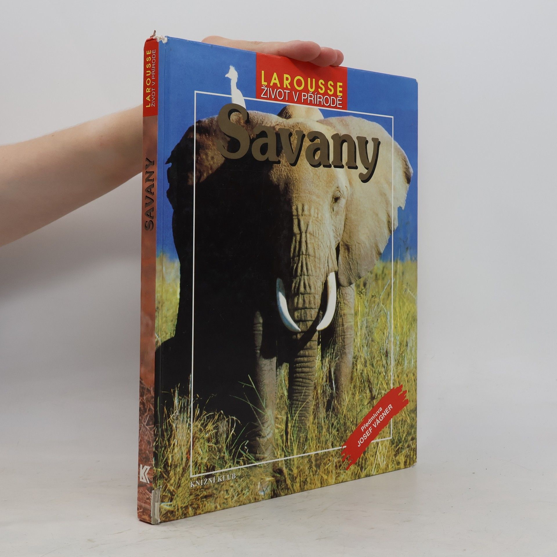 Autorenkollektiv Savany