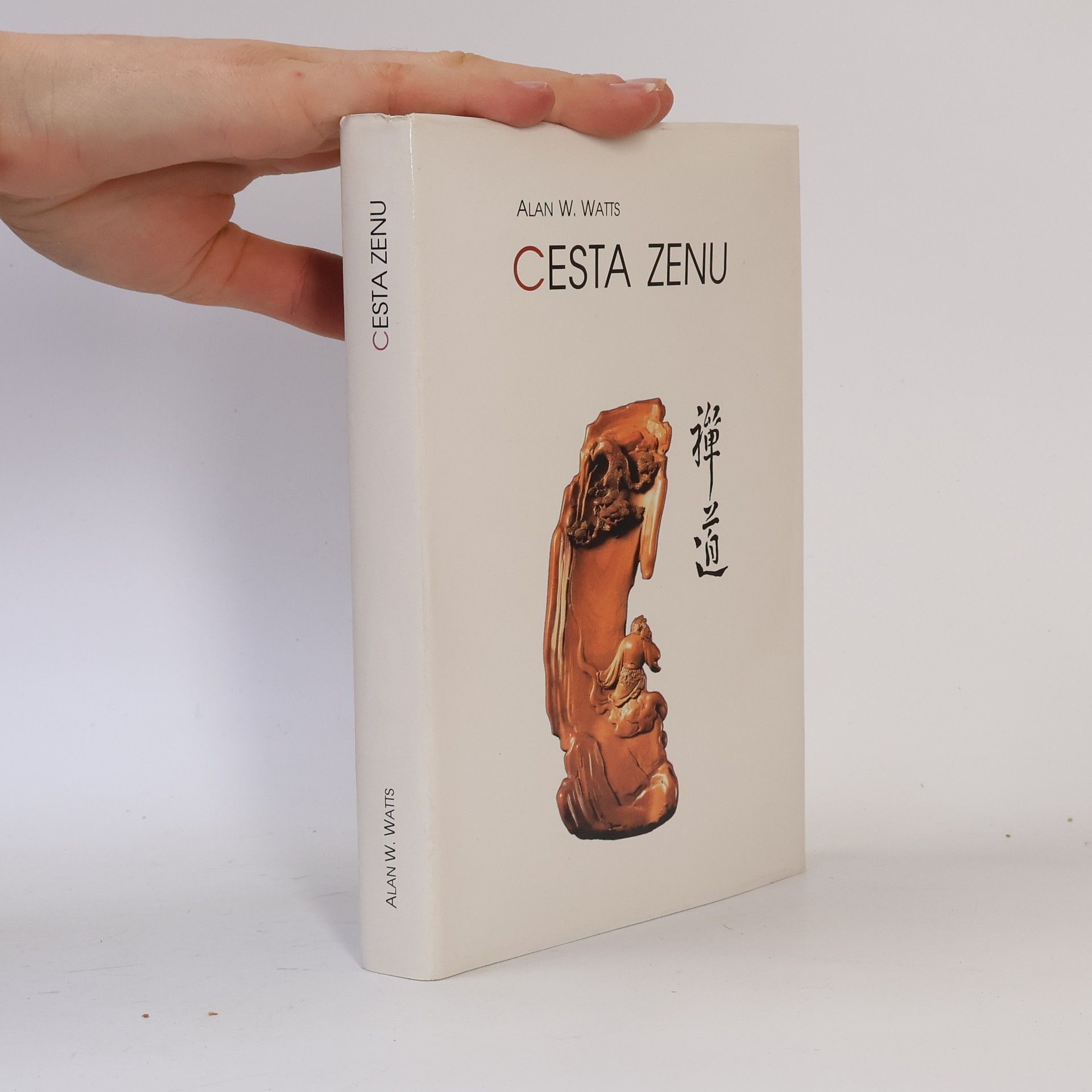 Alan Watts Cesta zenu