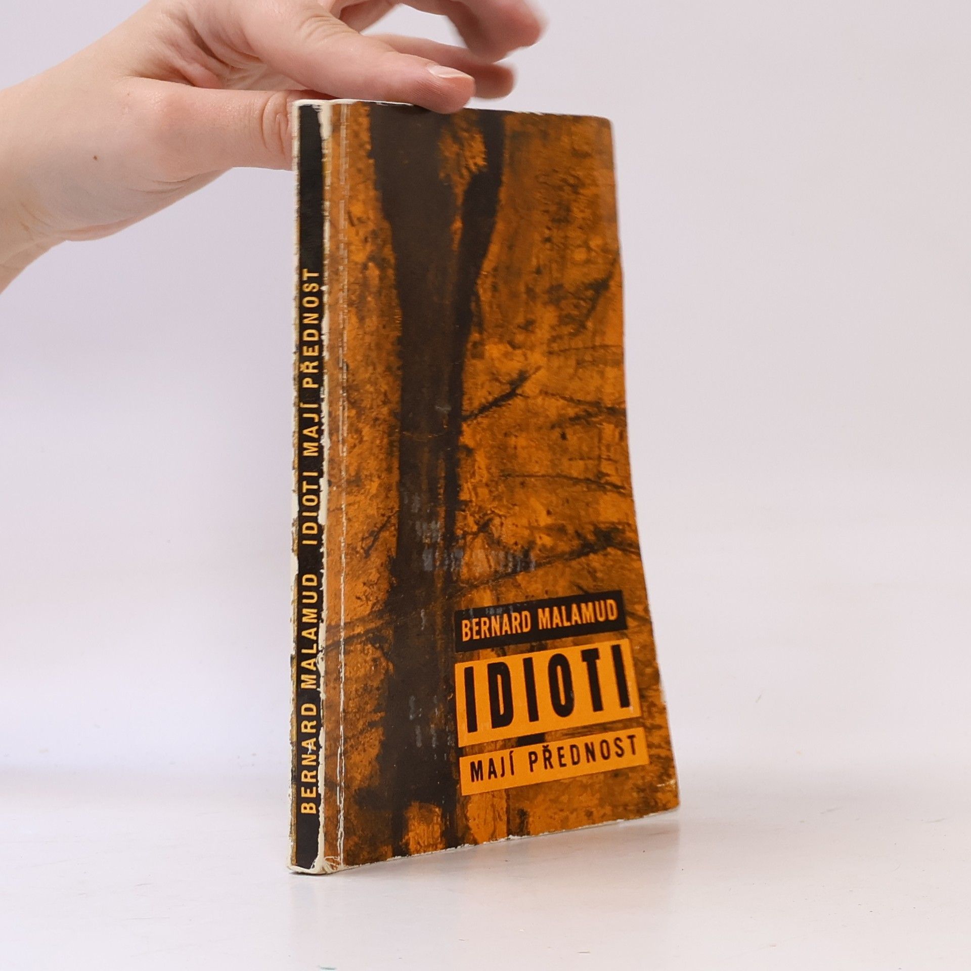 Bernard Malamud Idioti mají přednost