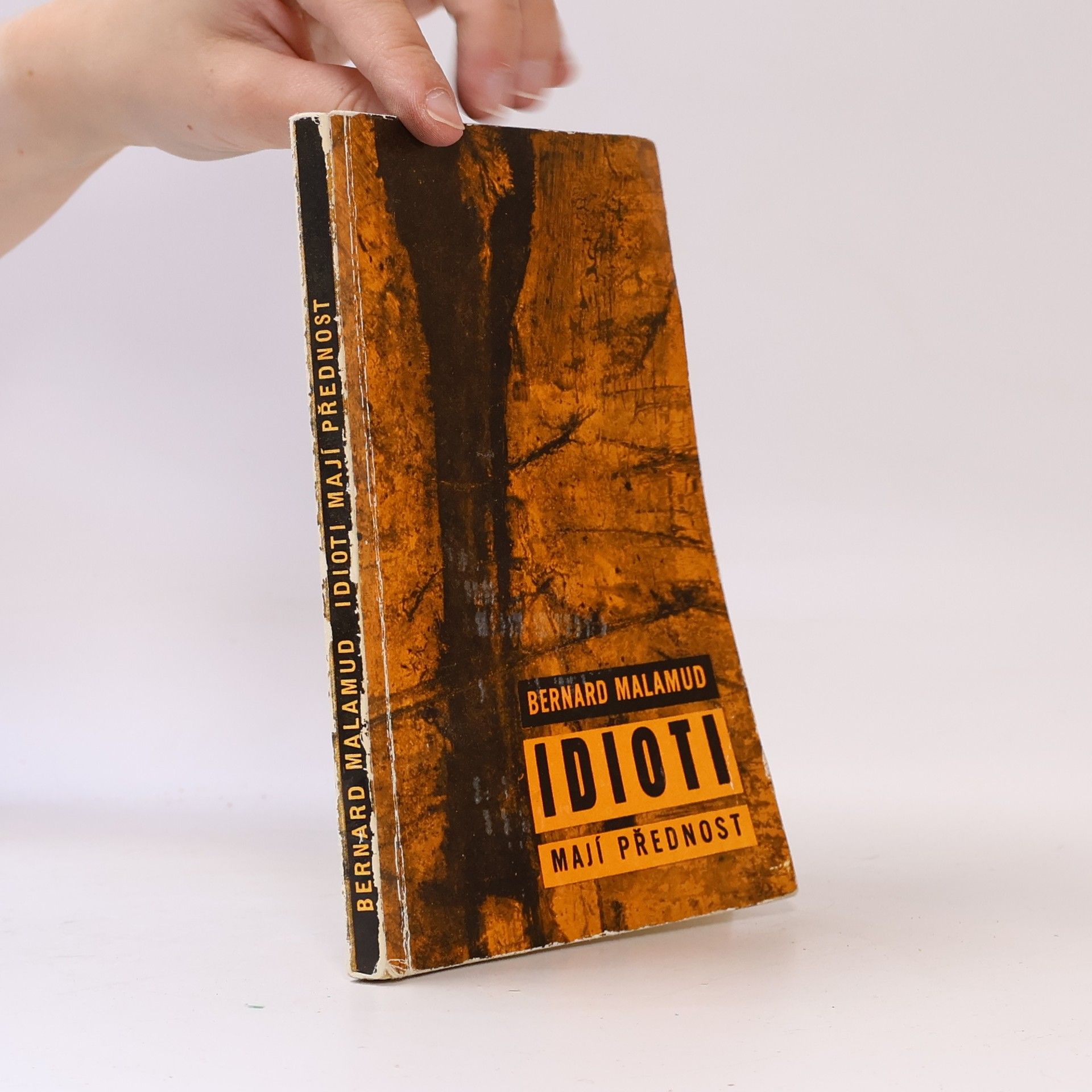 Bernard Malamud Idioti mají přednost