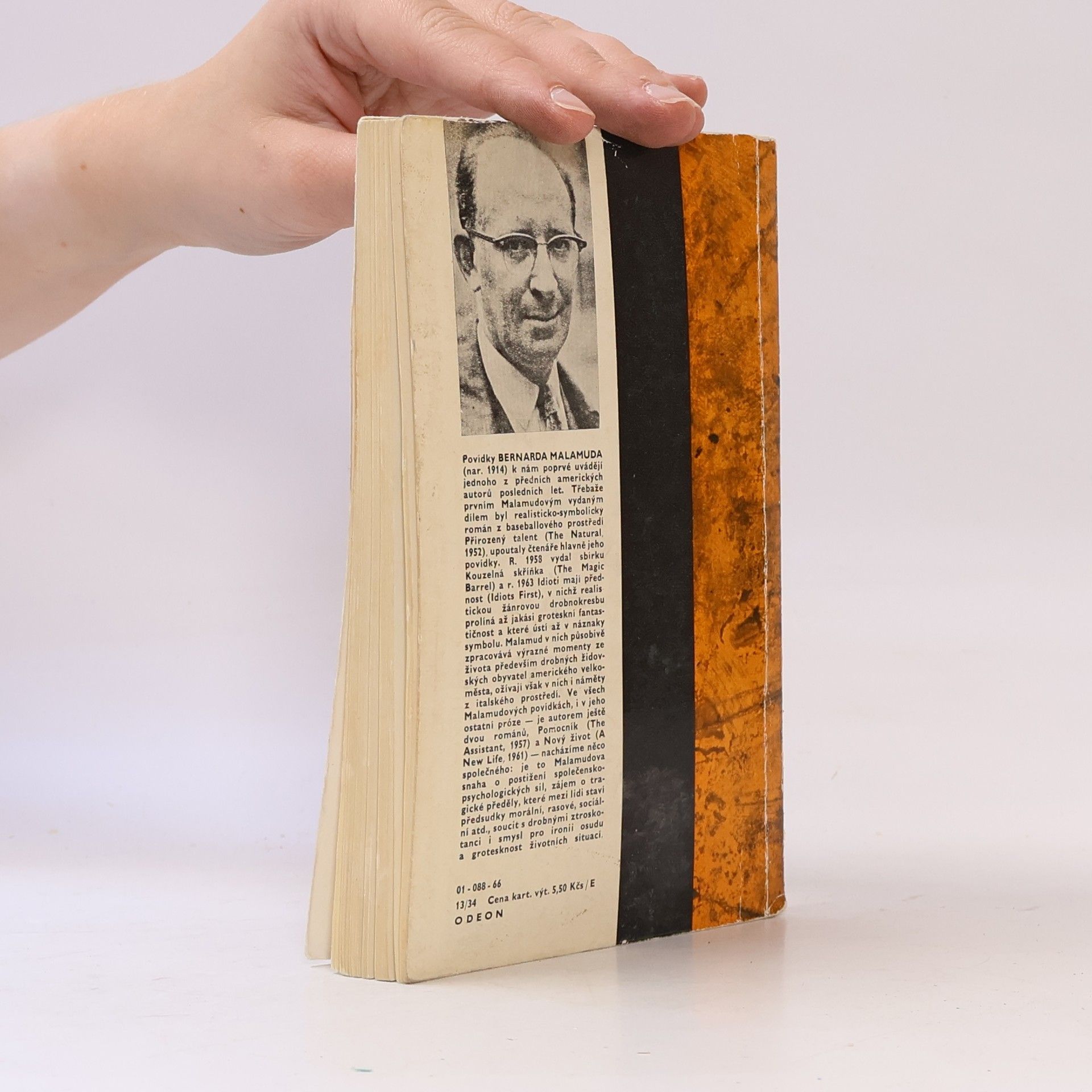 Bernard Malamud Idioti mají přednost