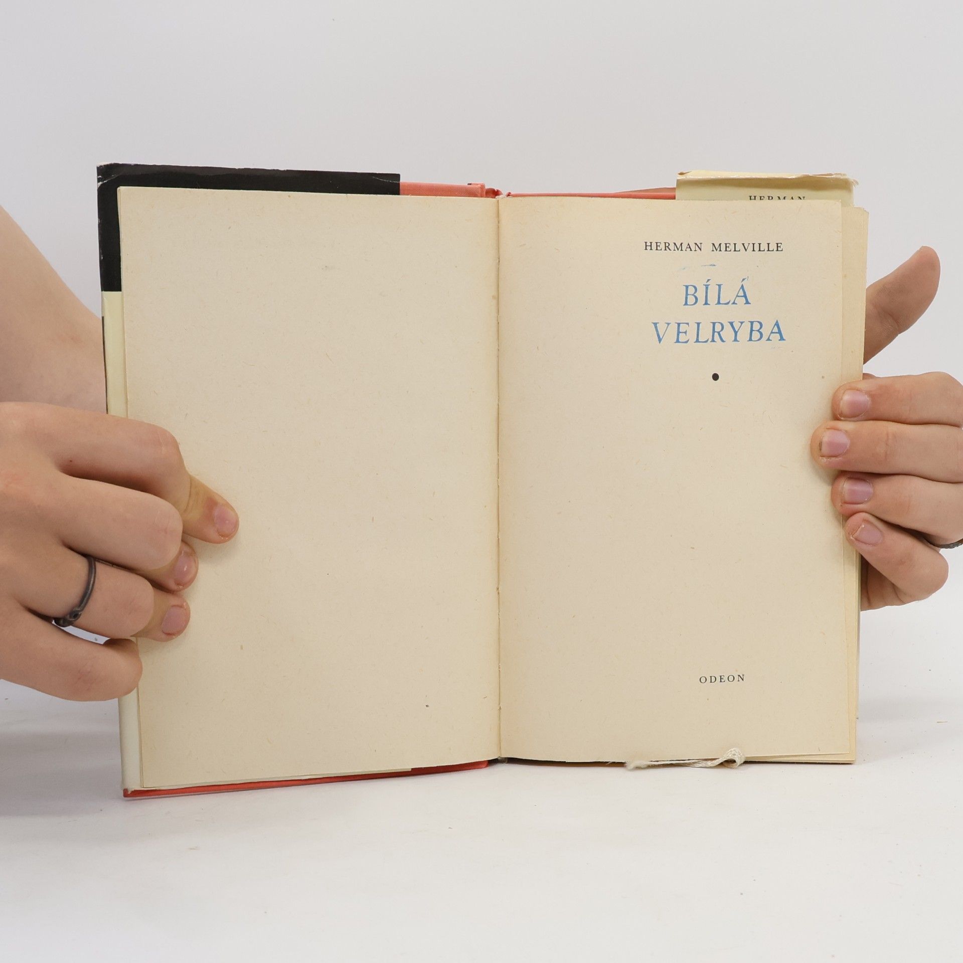Herman Melville Bílá velryba