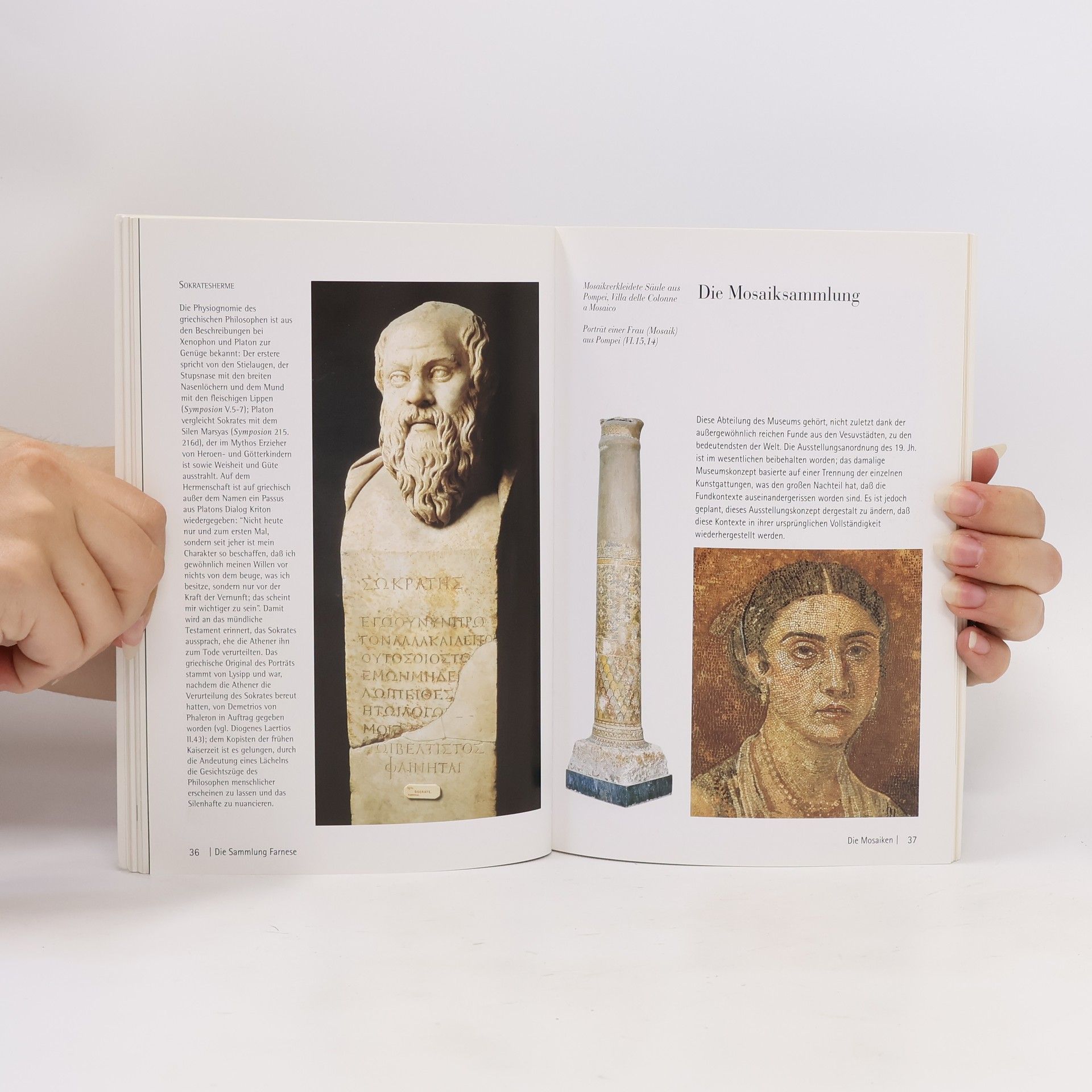 Stefano De Caro Das Archäologische Nationalmuseum Neapel
