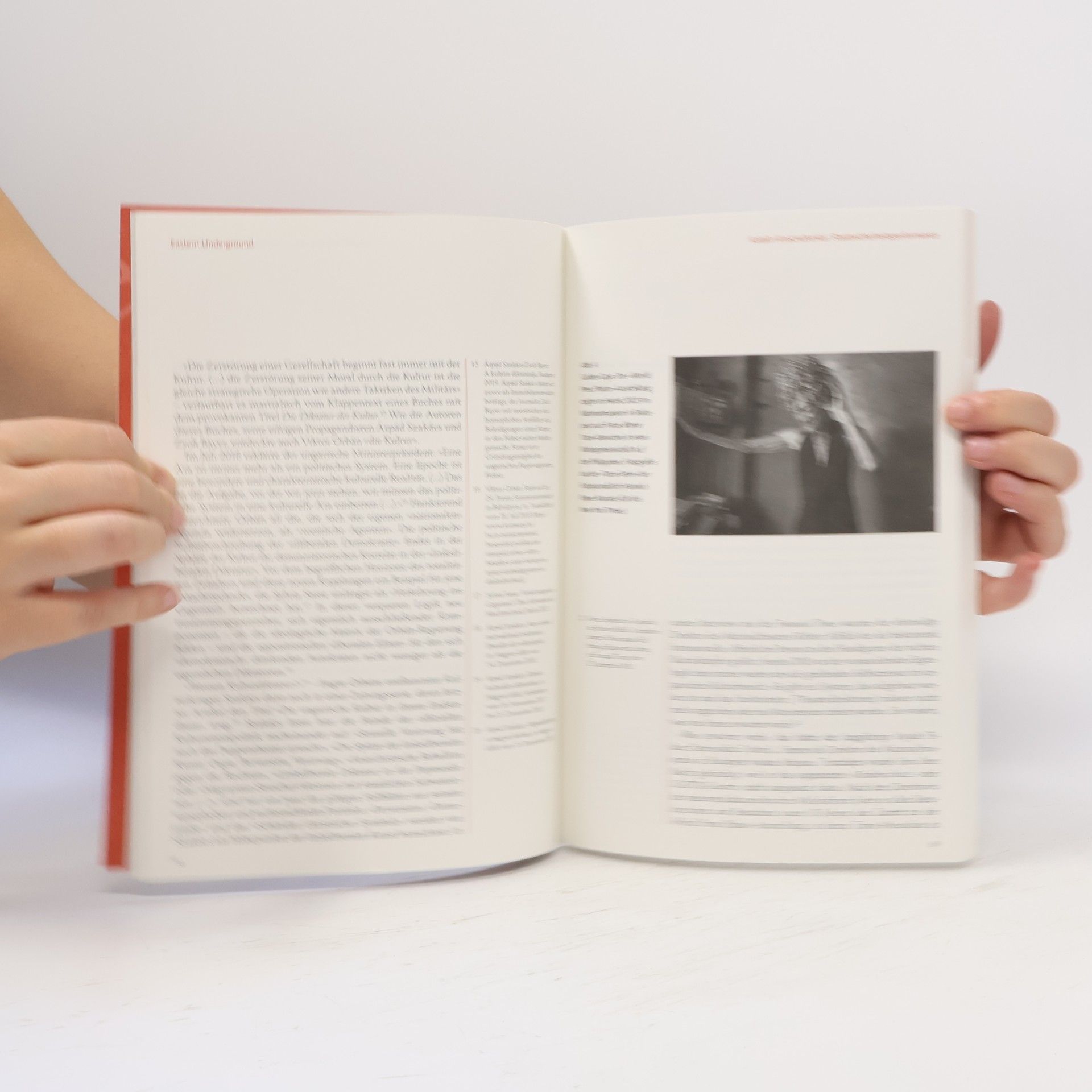 Hana Gründler Zeitschrift für Ideengeschichte Heft XVIII/2 Sommer 2024