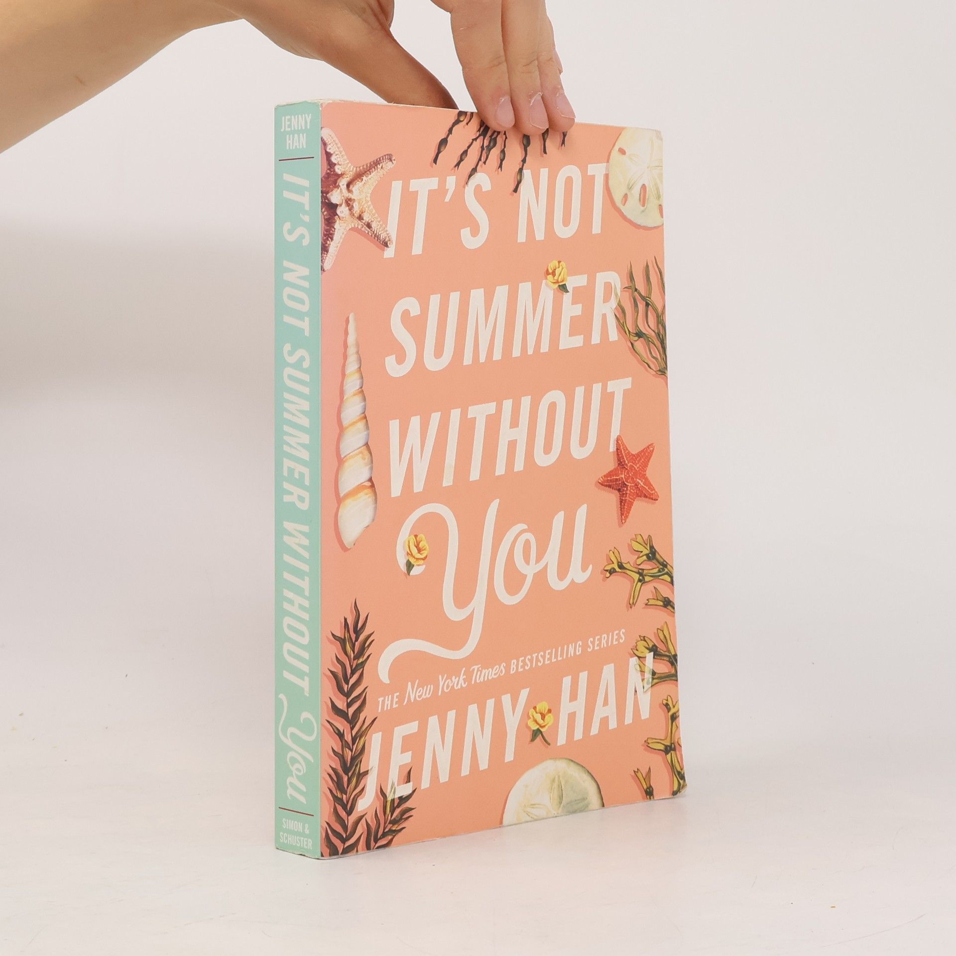 Jenny Han It's Not Summer Without You