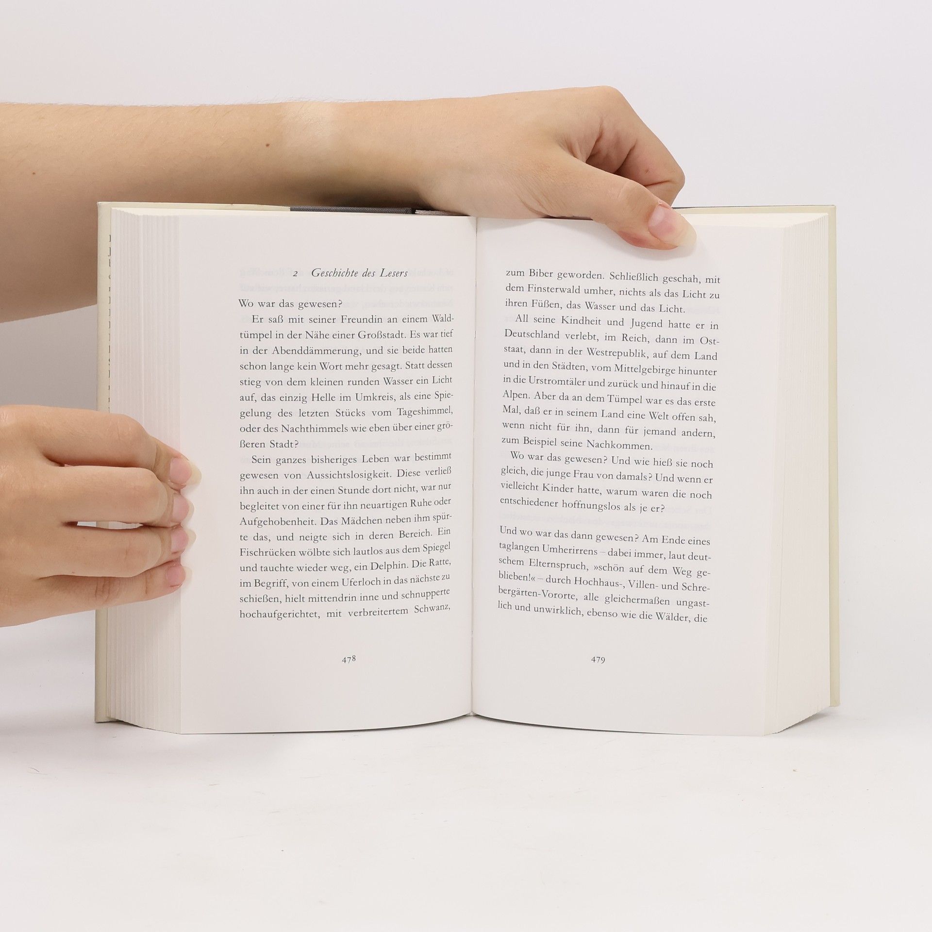 Peter Handke Mein Jahr in der Niemandsbucht
